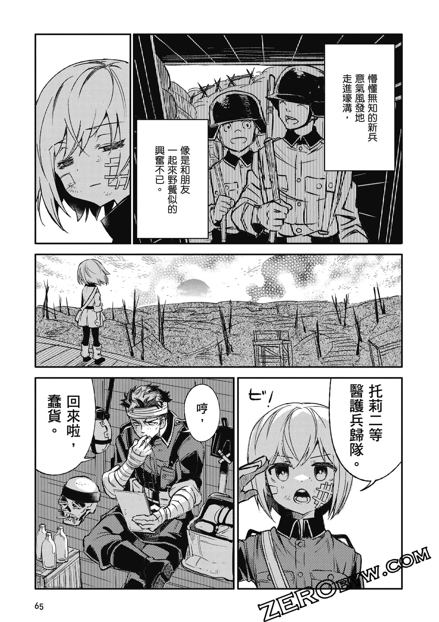 第 66 页