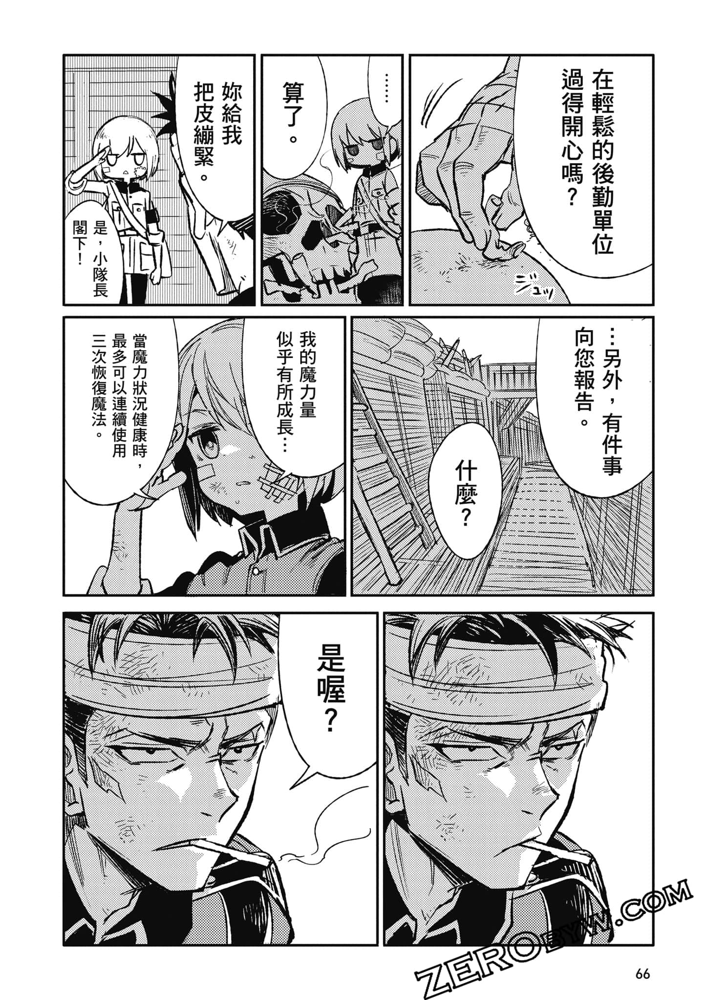 第 67 页
