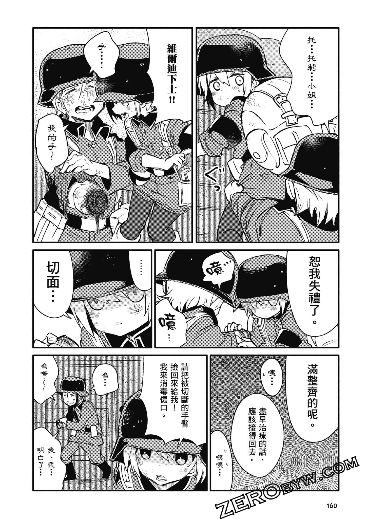 第 161 页