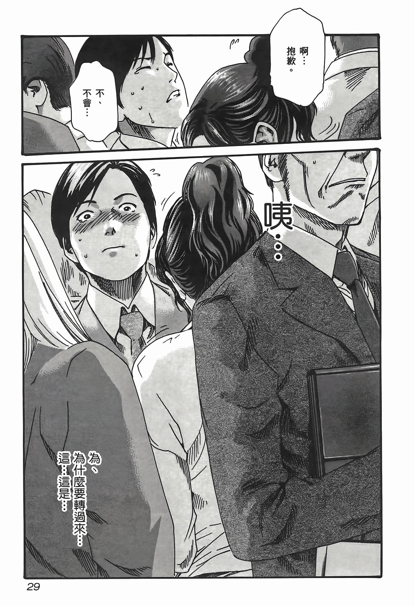 第 31 页