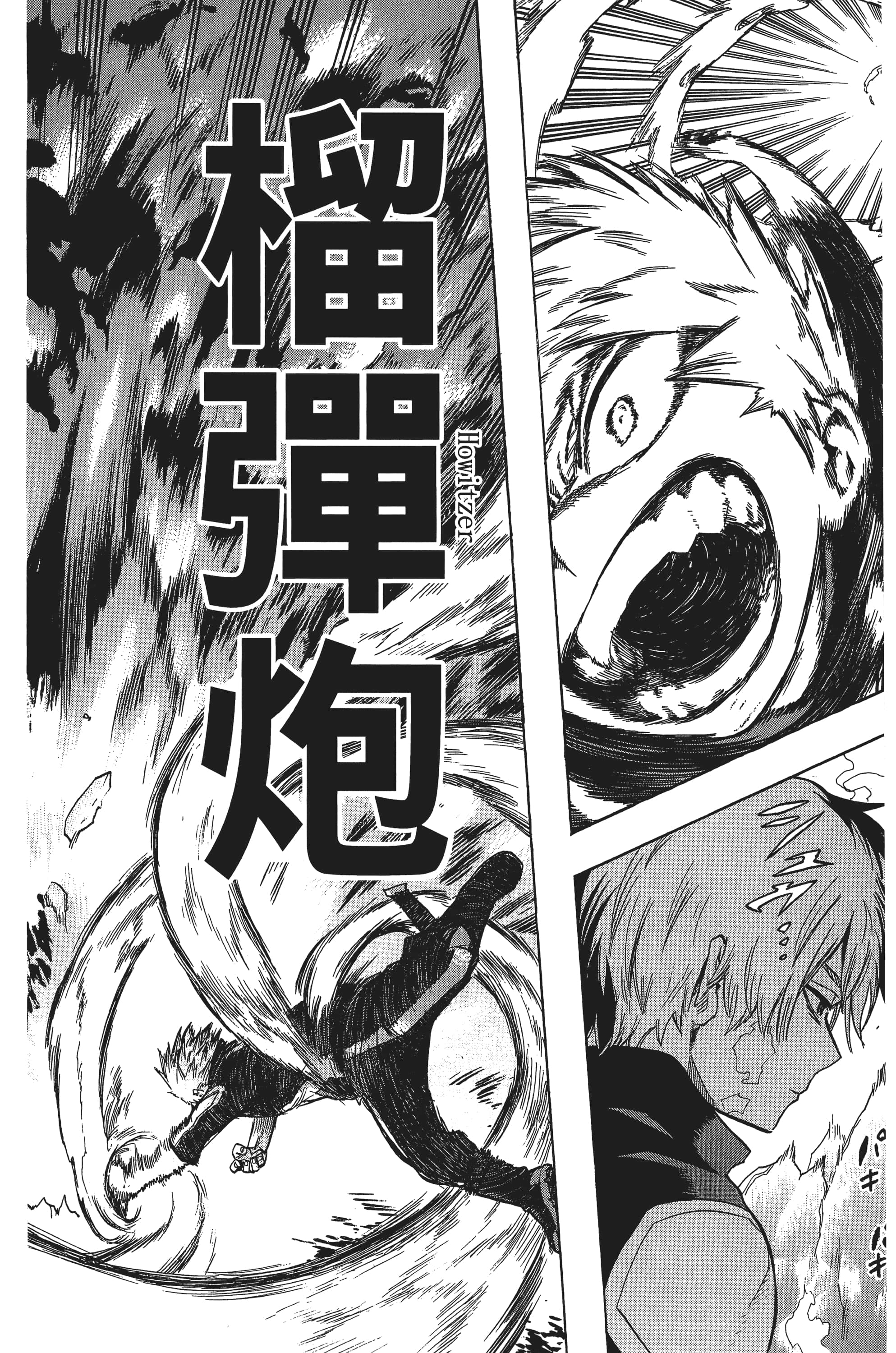 第 161 页