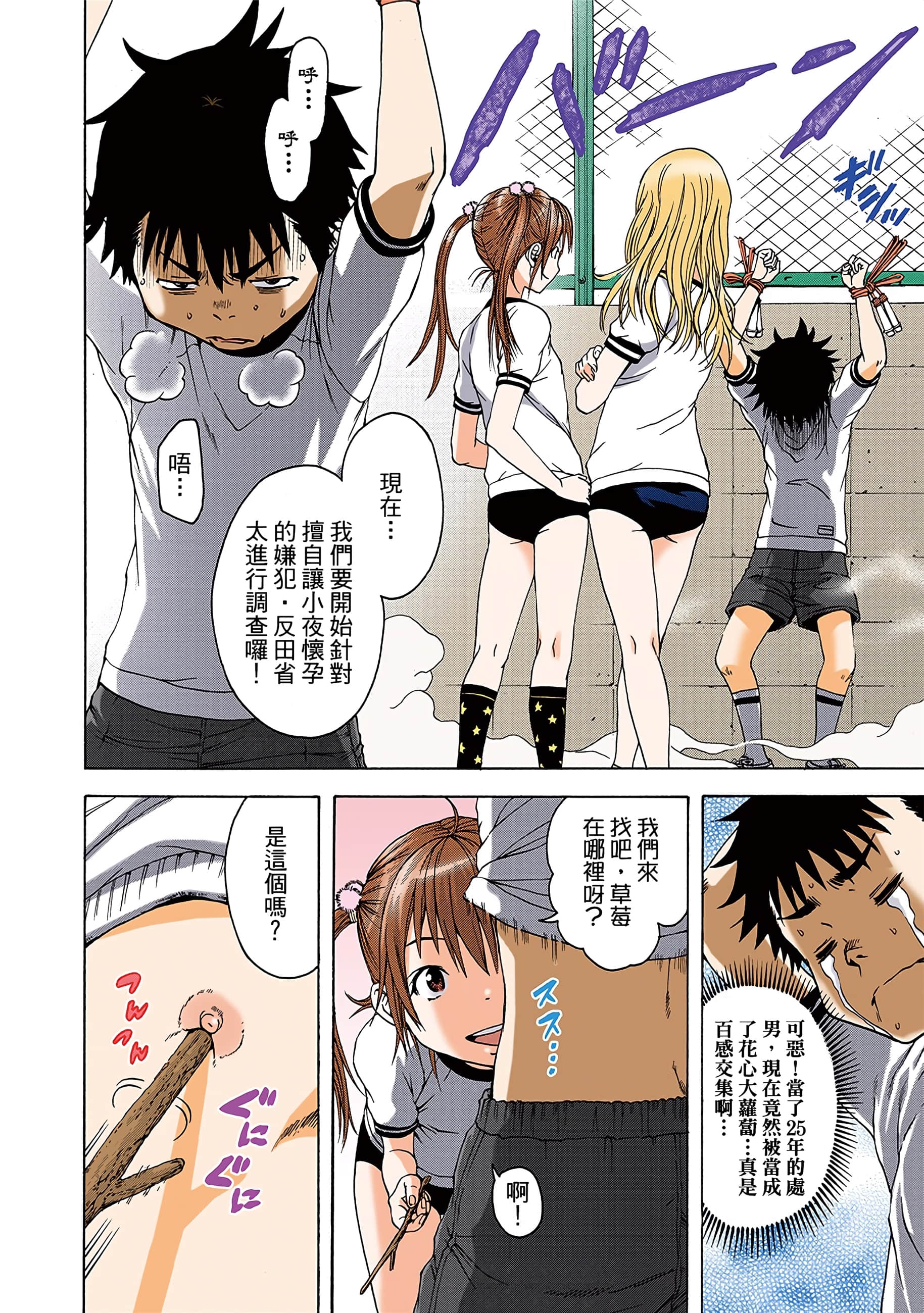 第 31 页