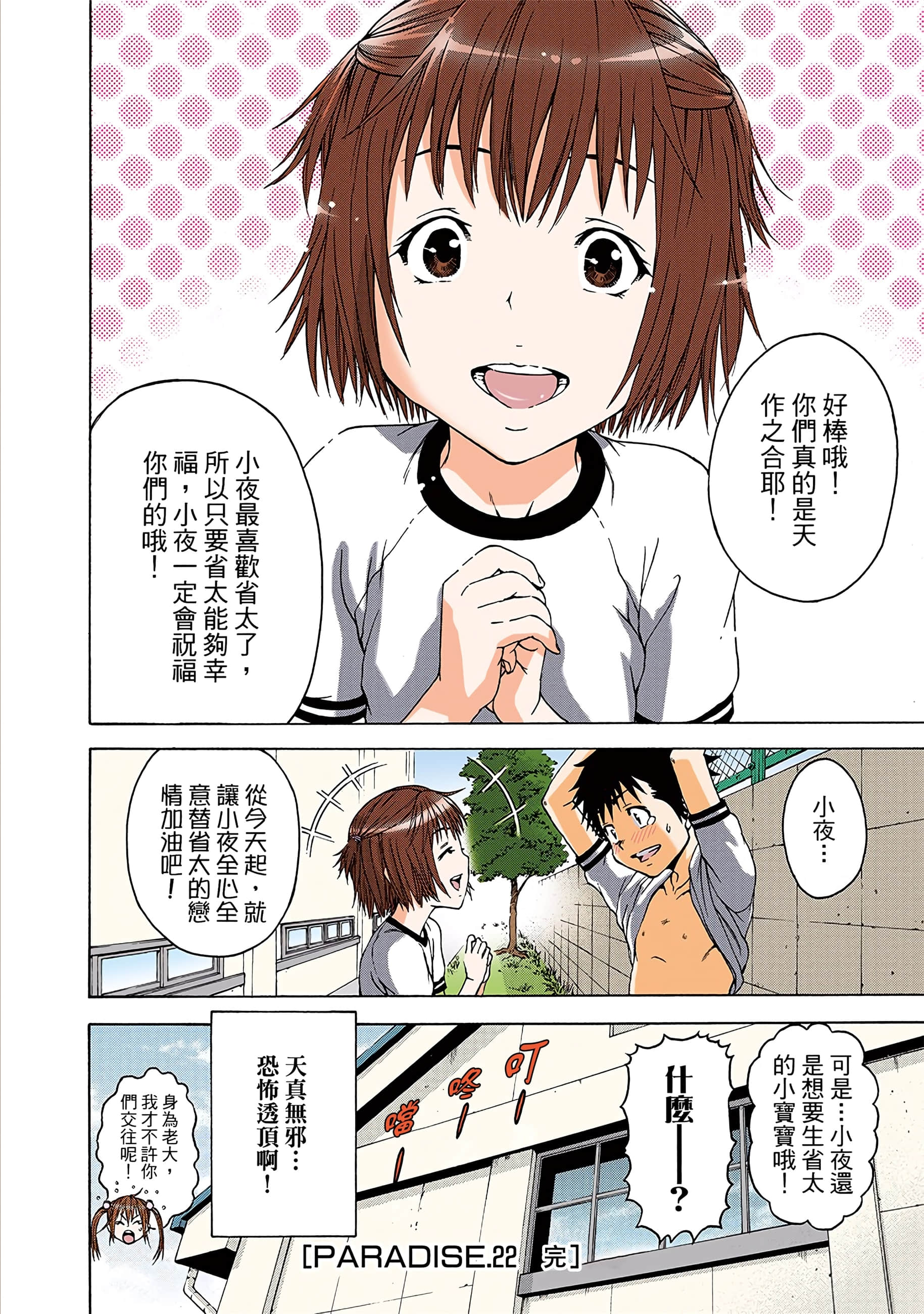 第 43 页