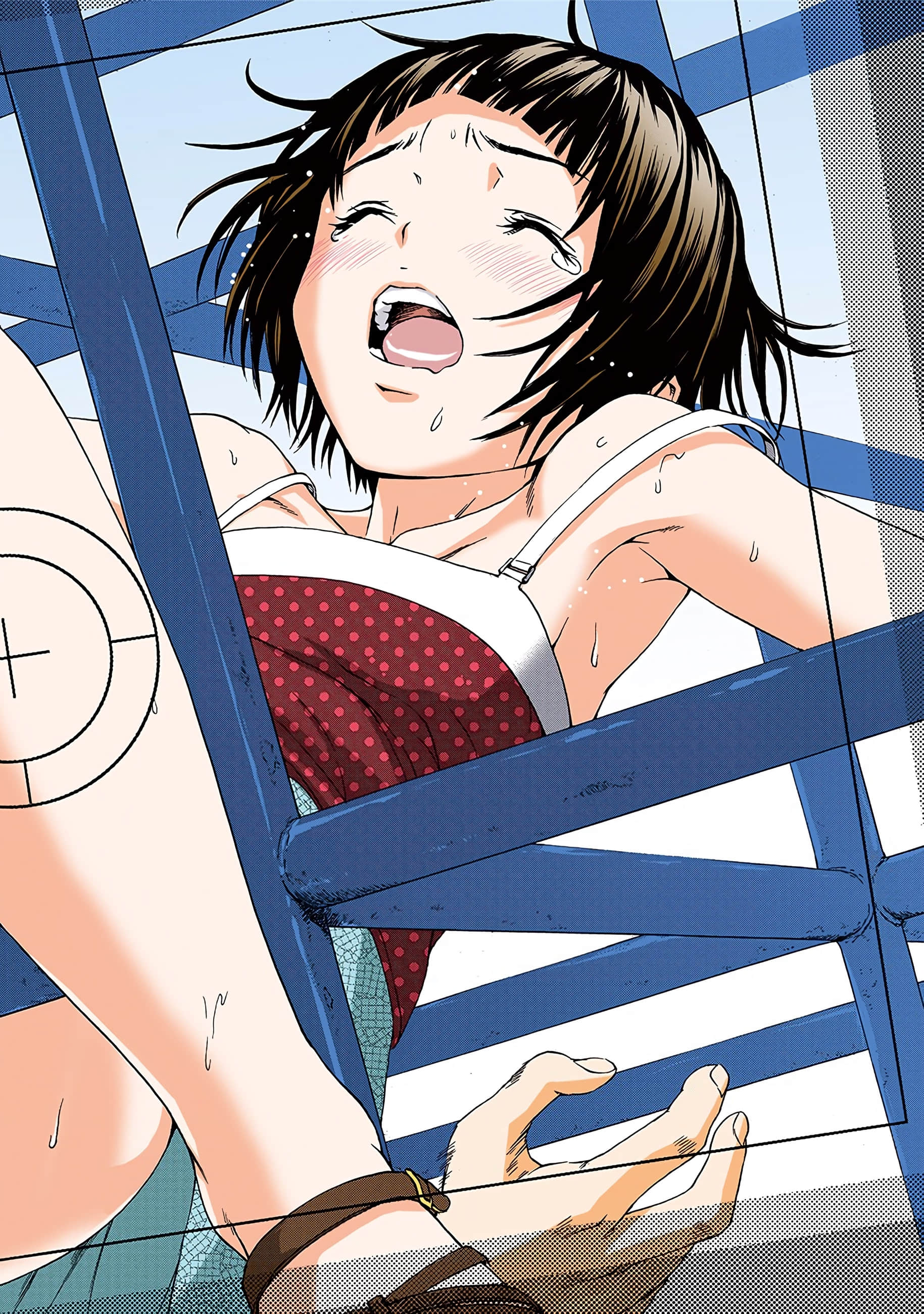 第 95 页