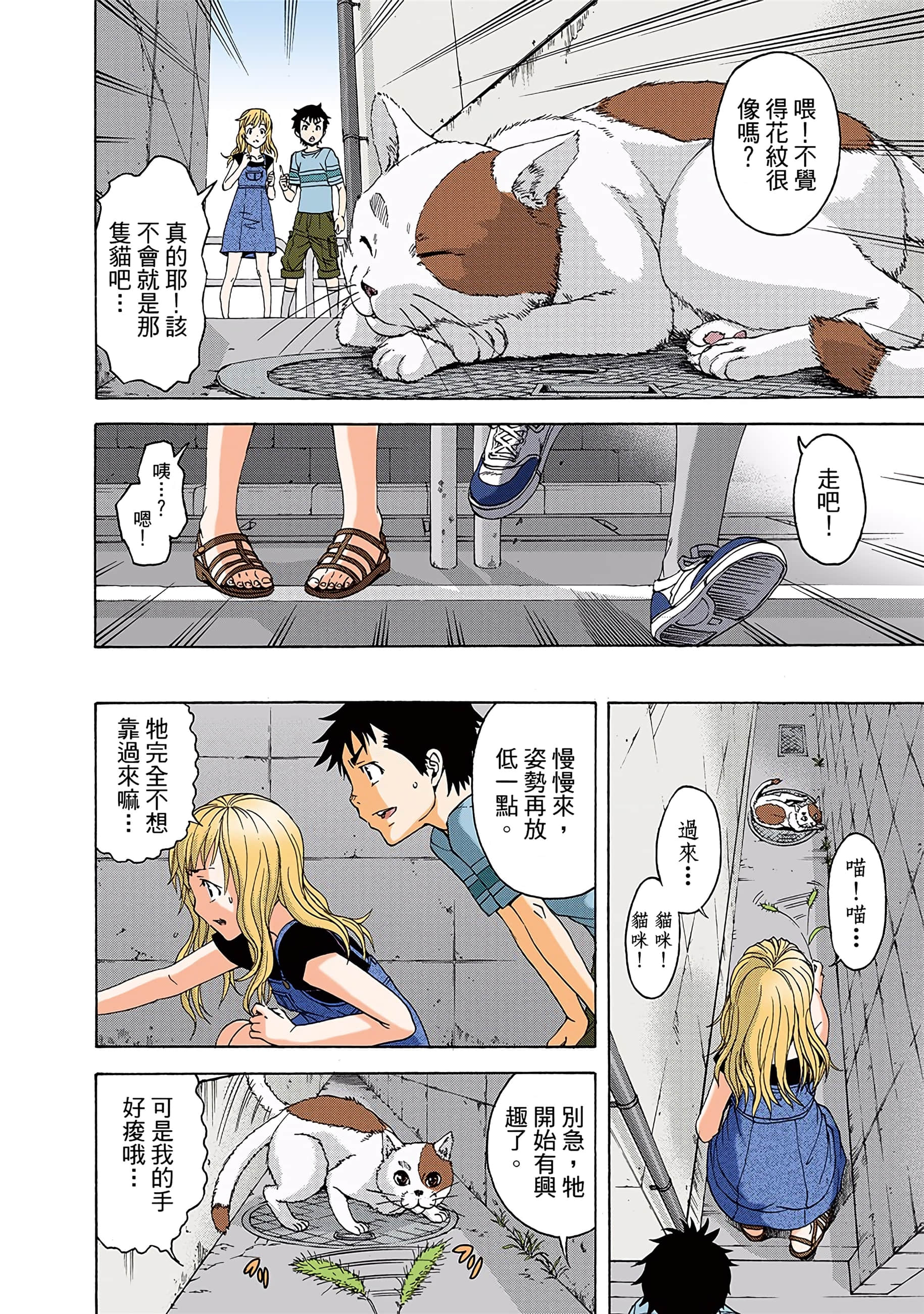 第 11 页