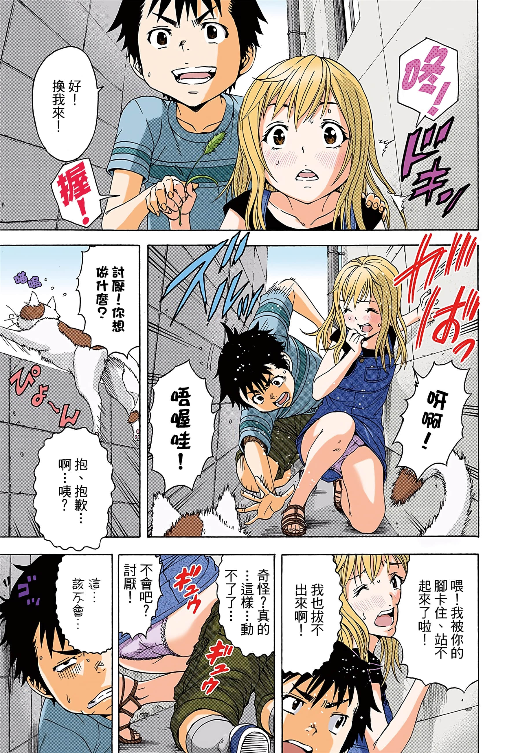 第 12 页