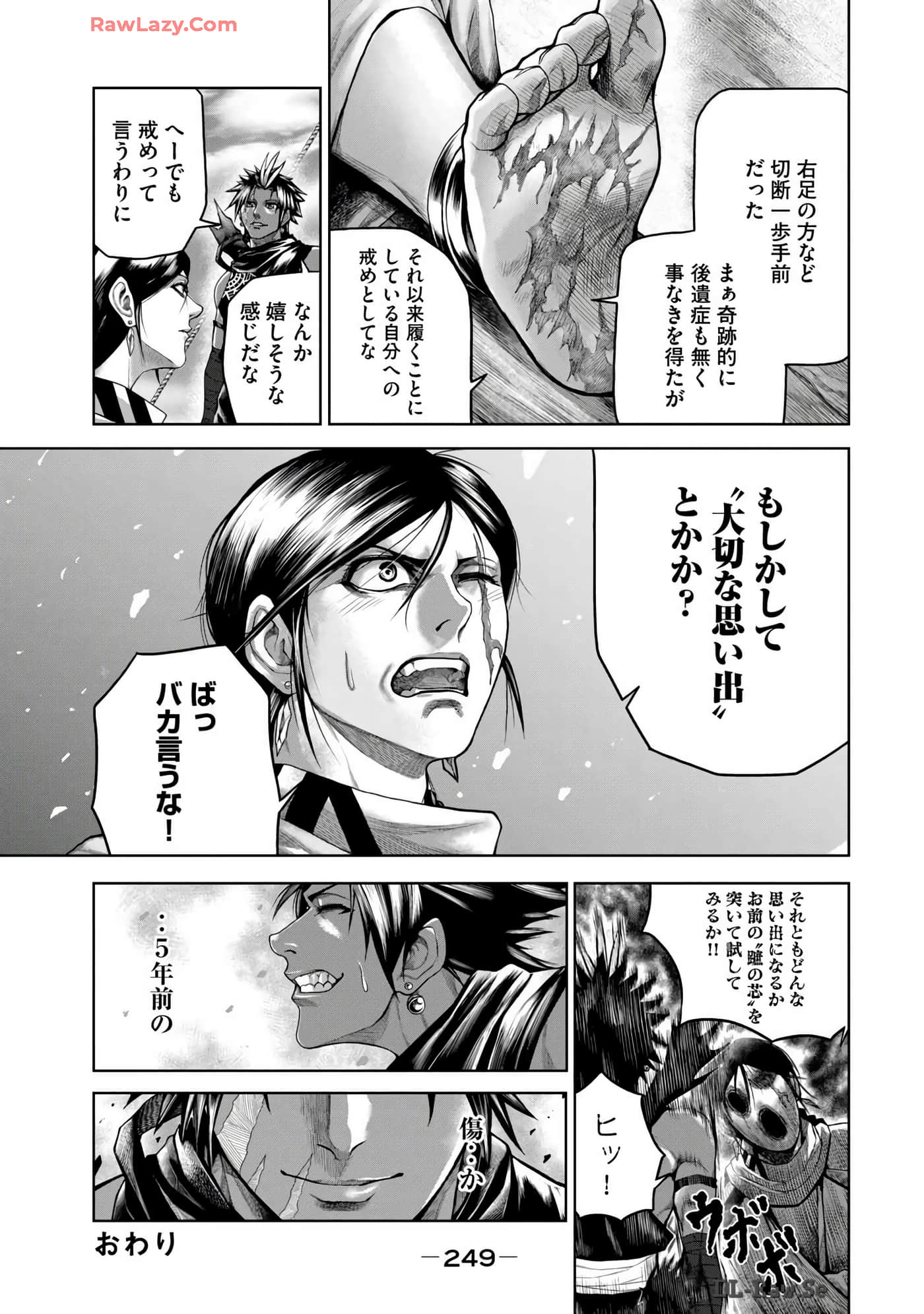 Page 251