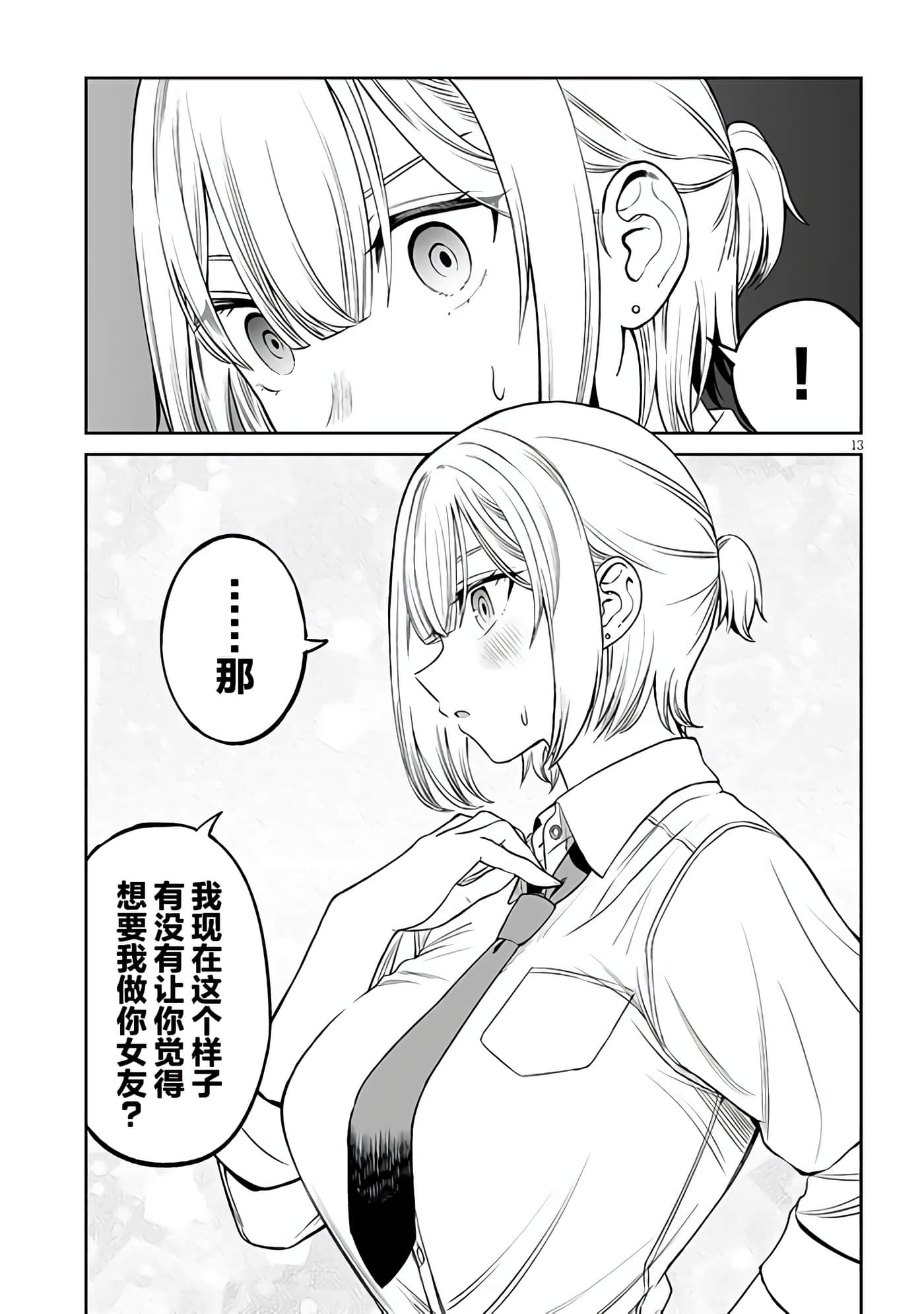 第 13 页