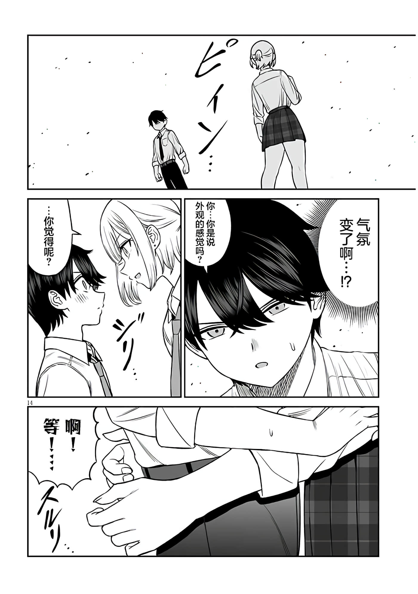 第 14 页