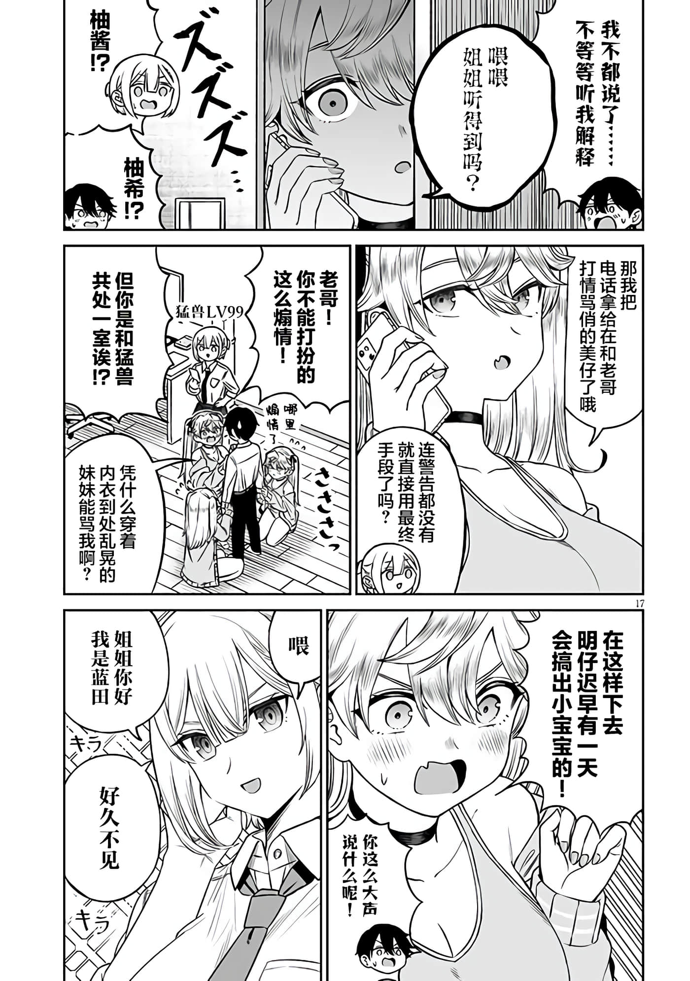 第 17 页
