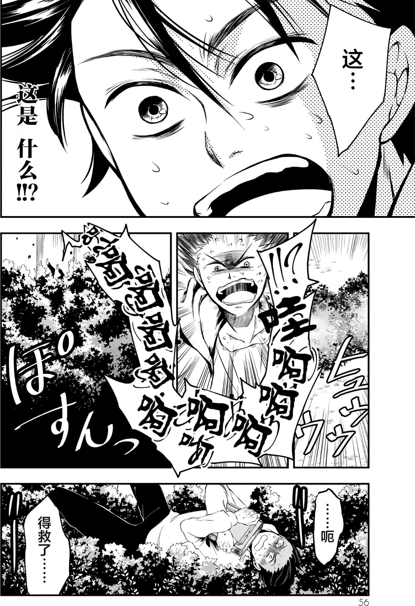 第 56 页