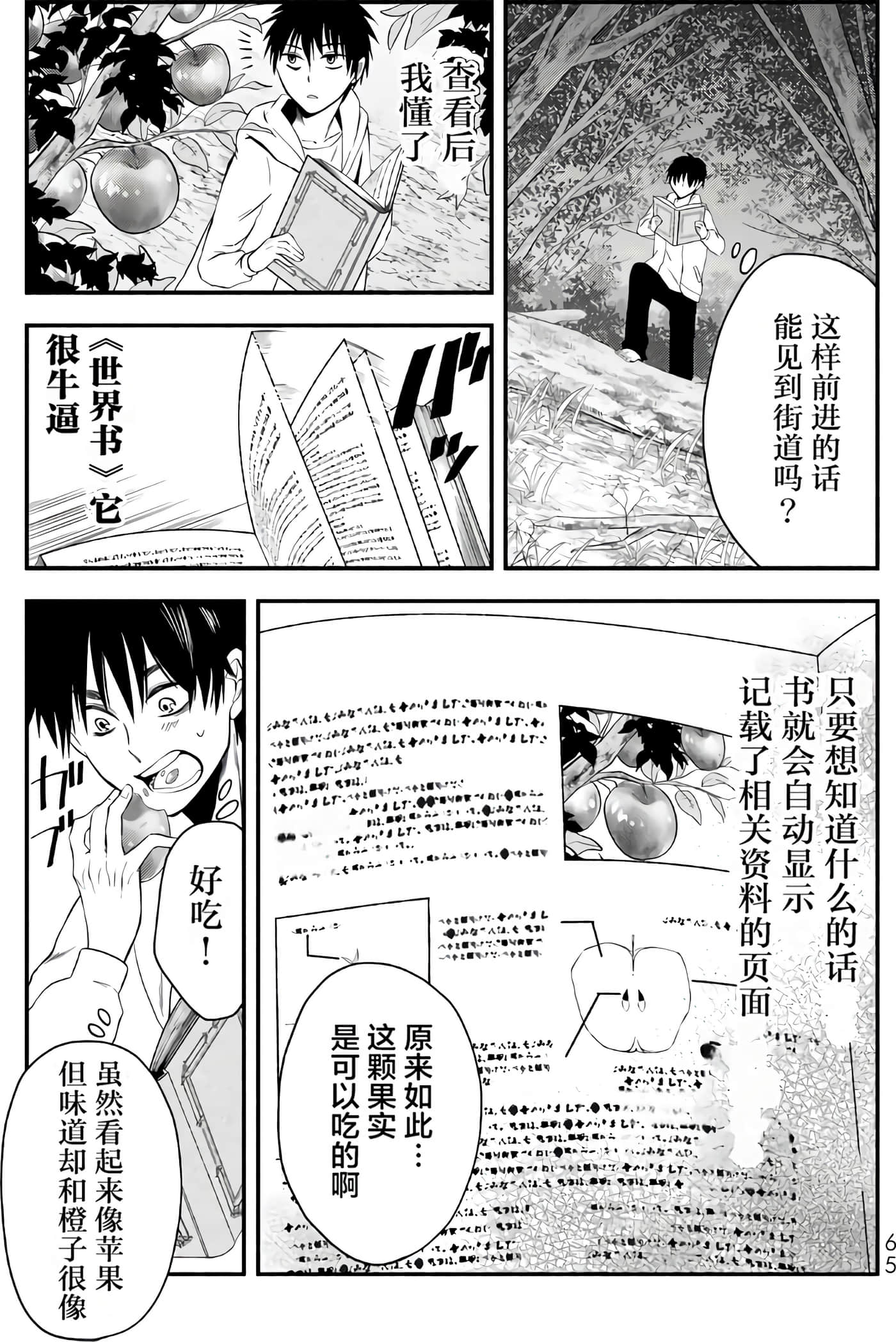 第 65 页