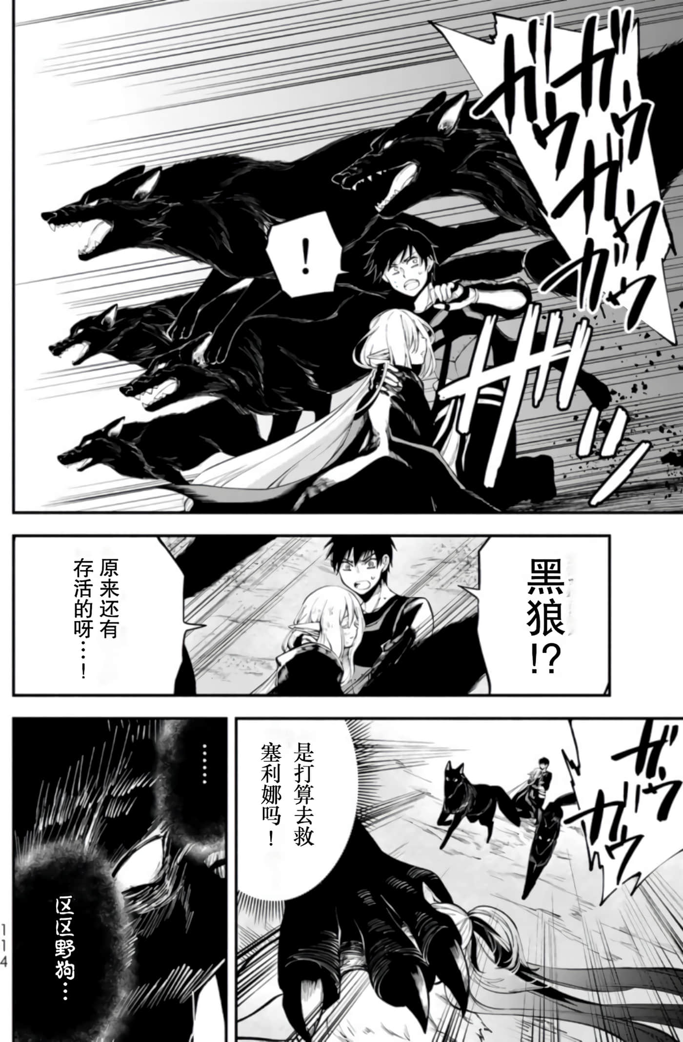 第 116 页