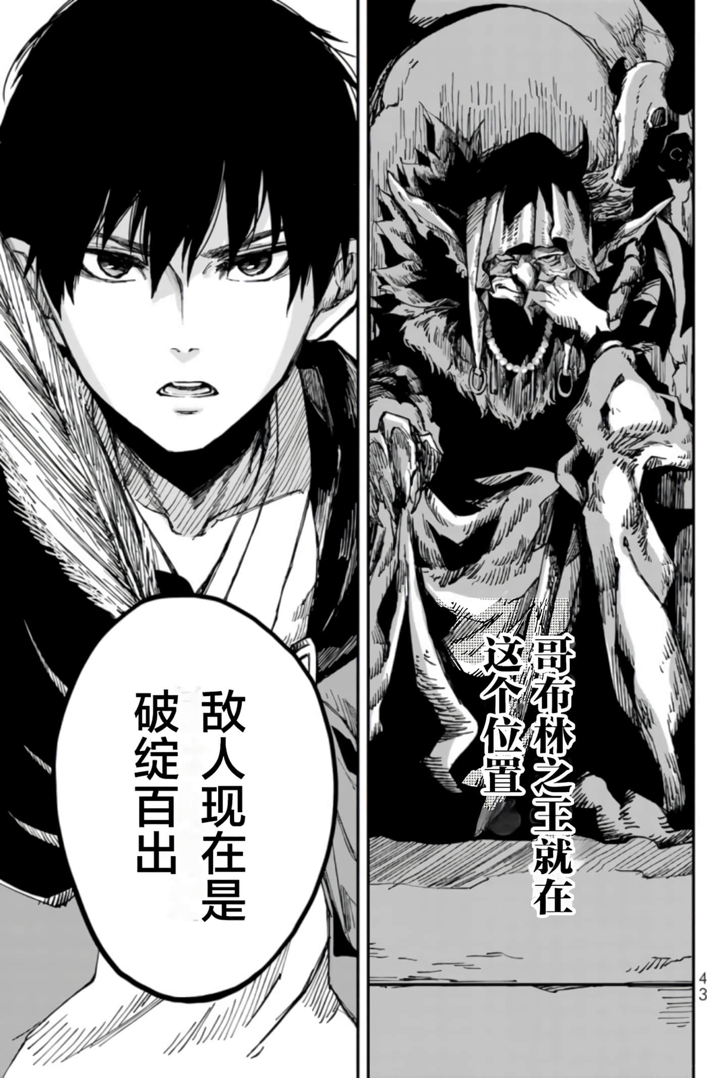 第 43 页