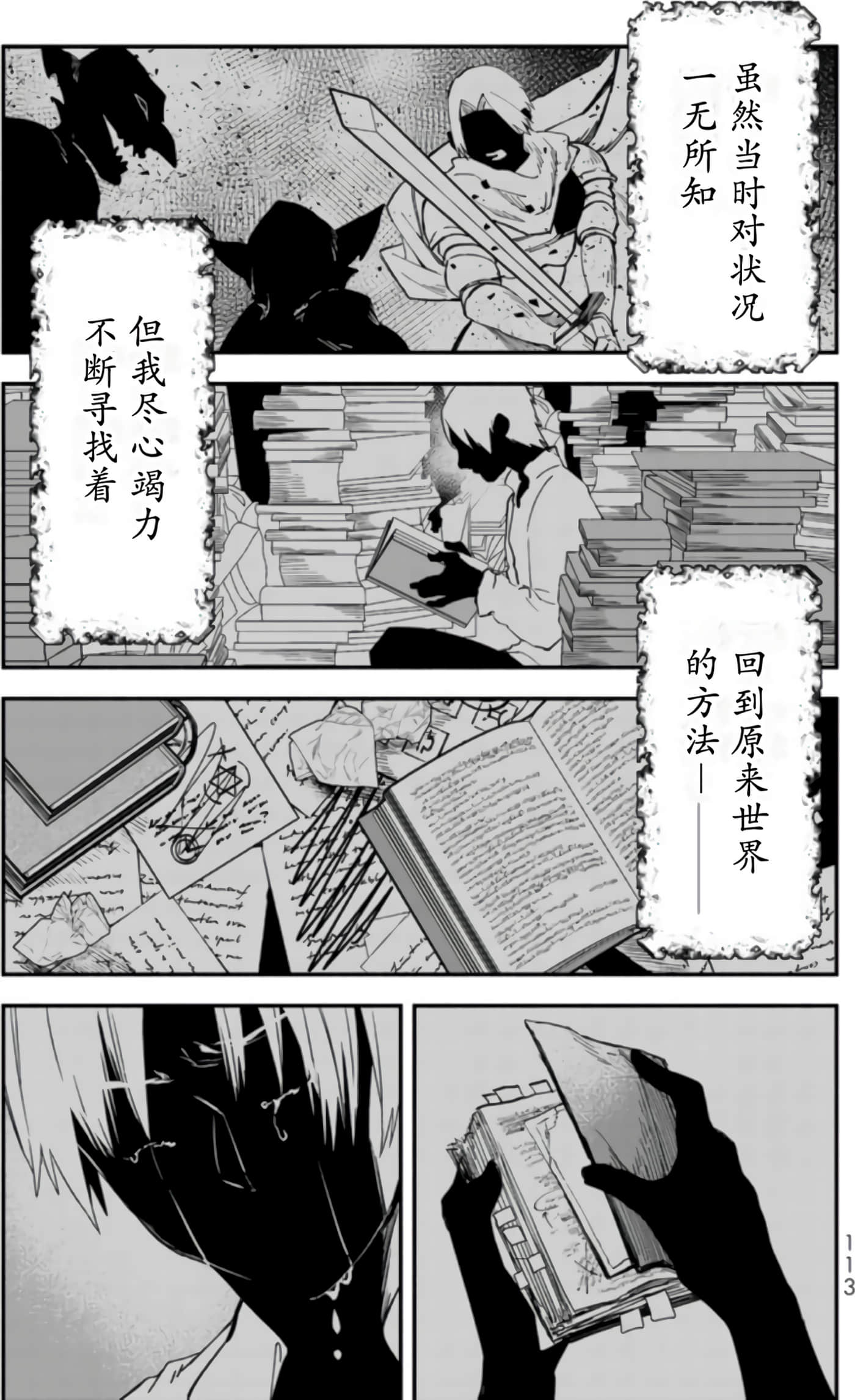 第 113 页