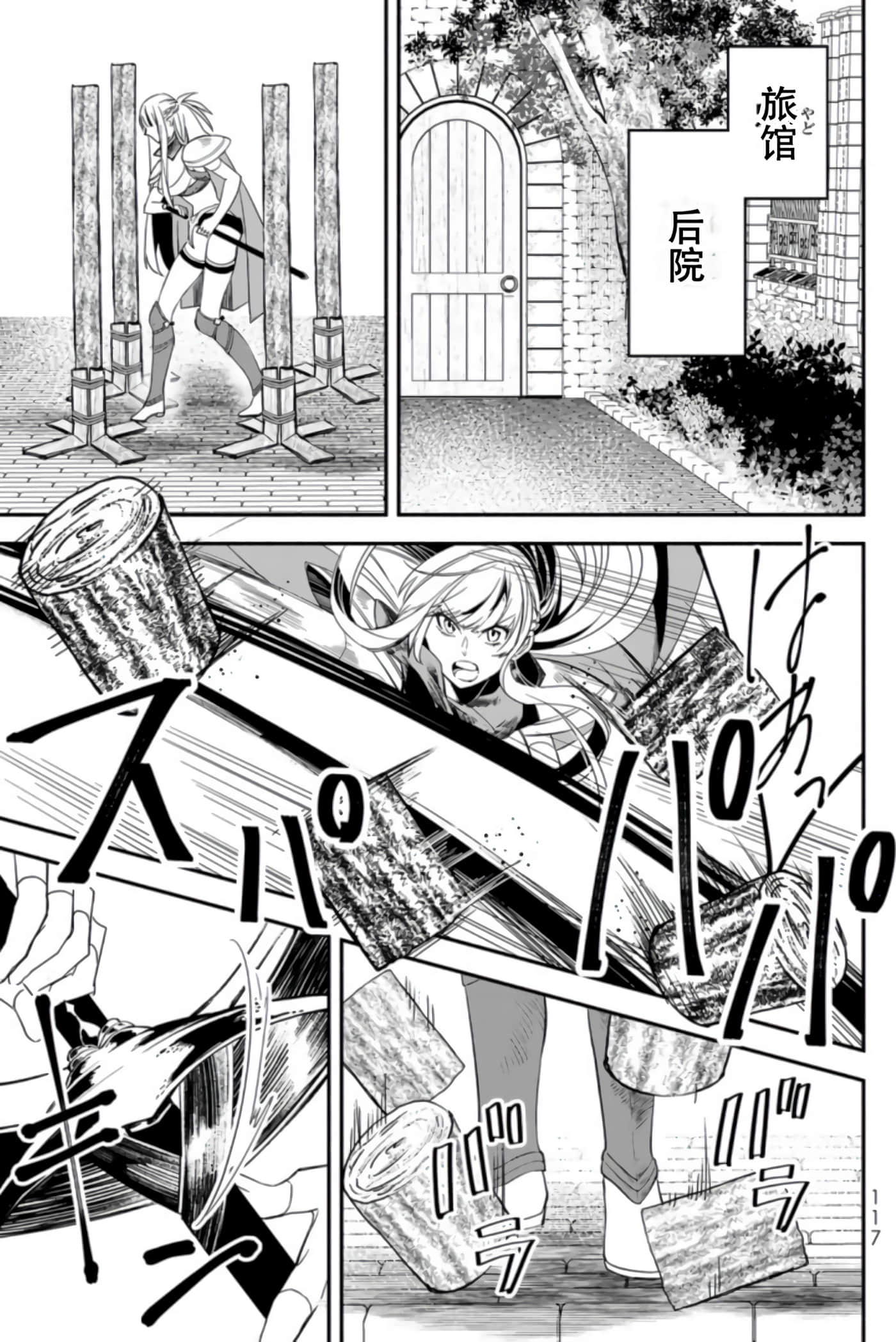 第 117 页