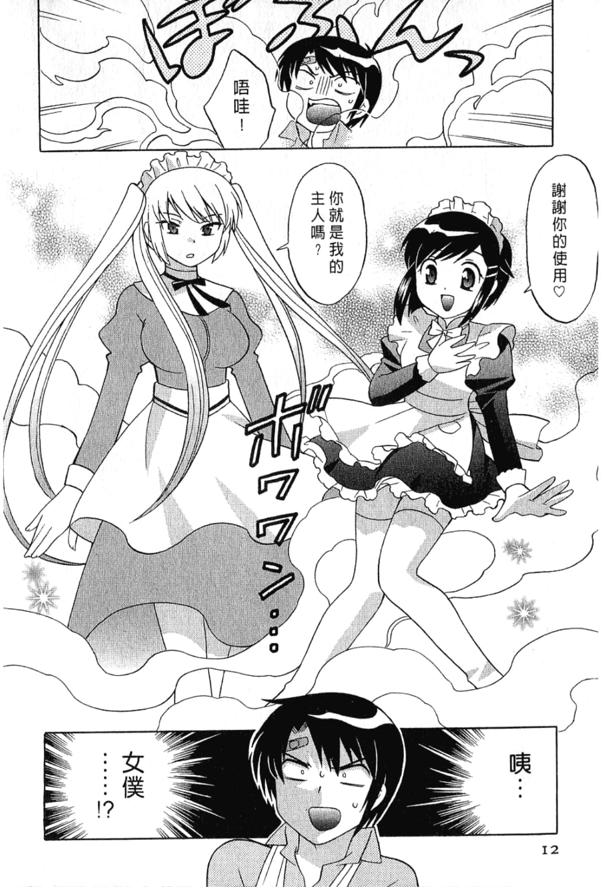 Page 12