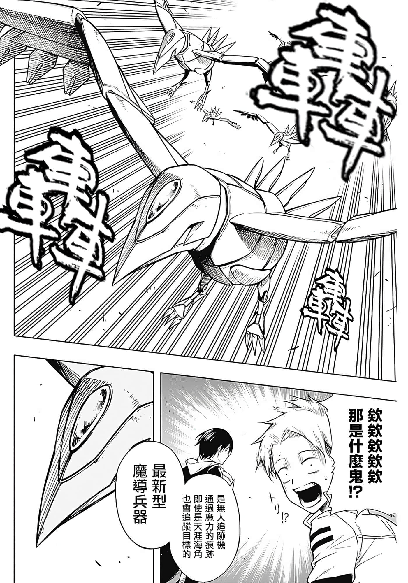 第 10 页