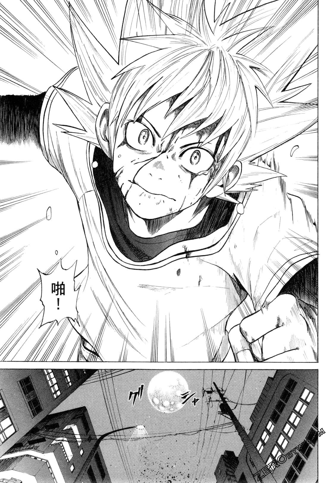 Page 111