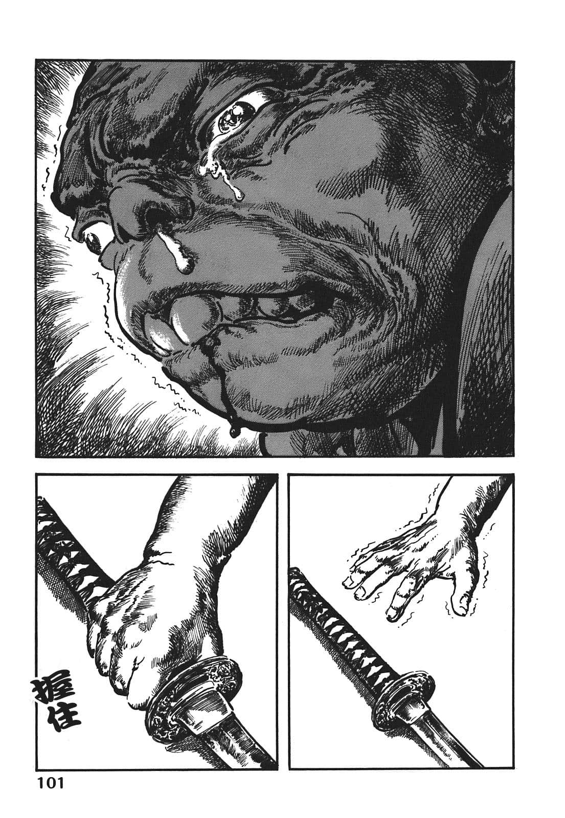 Page 101