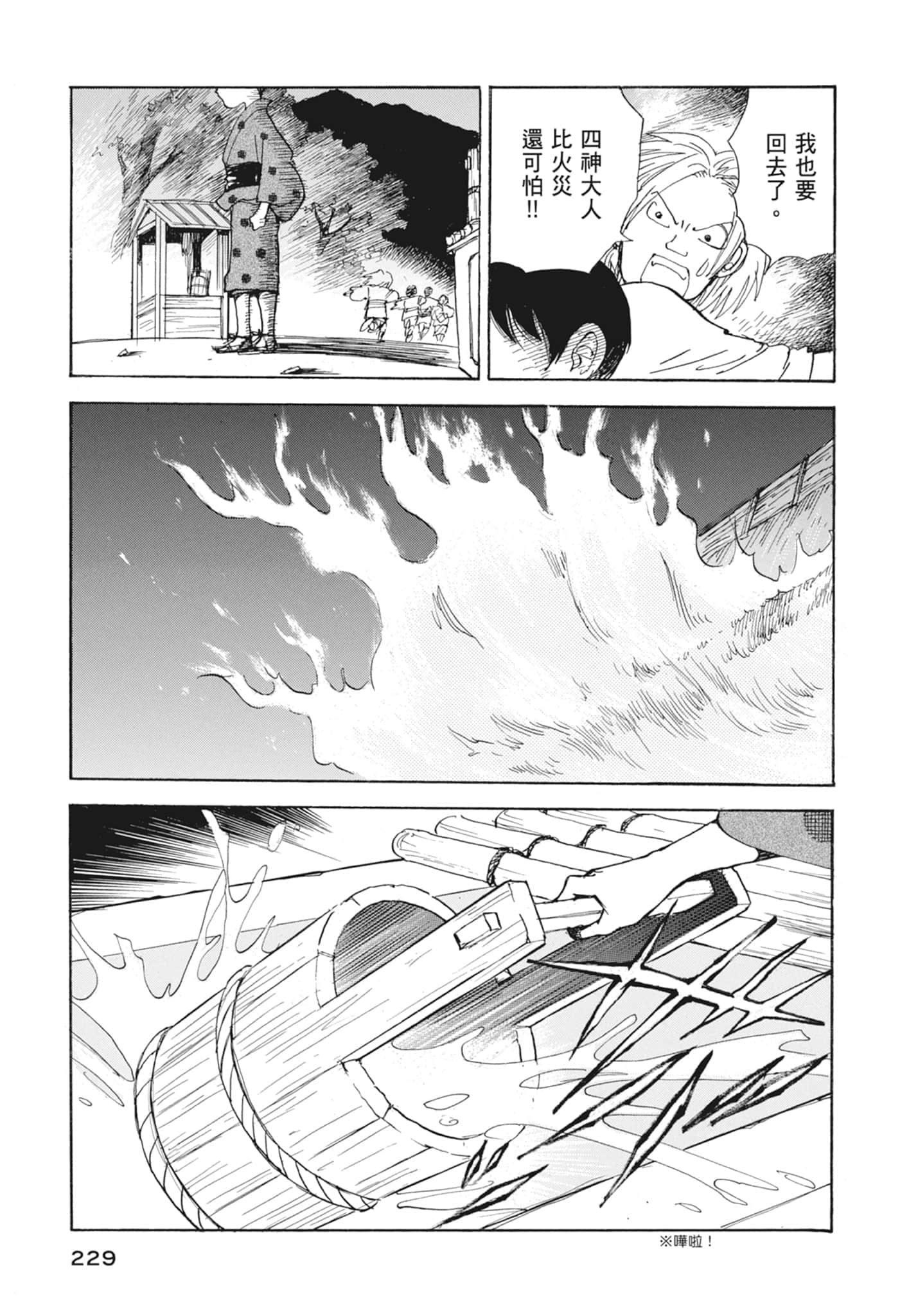Page 231