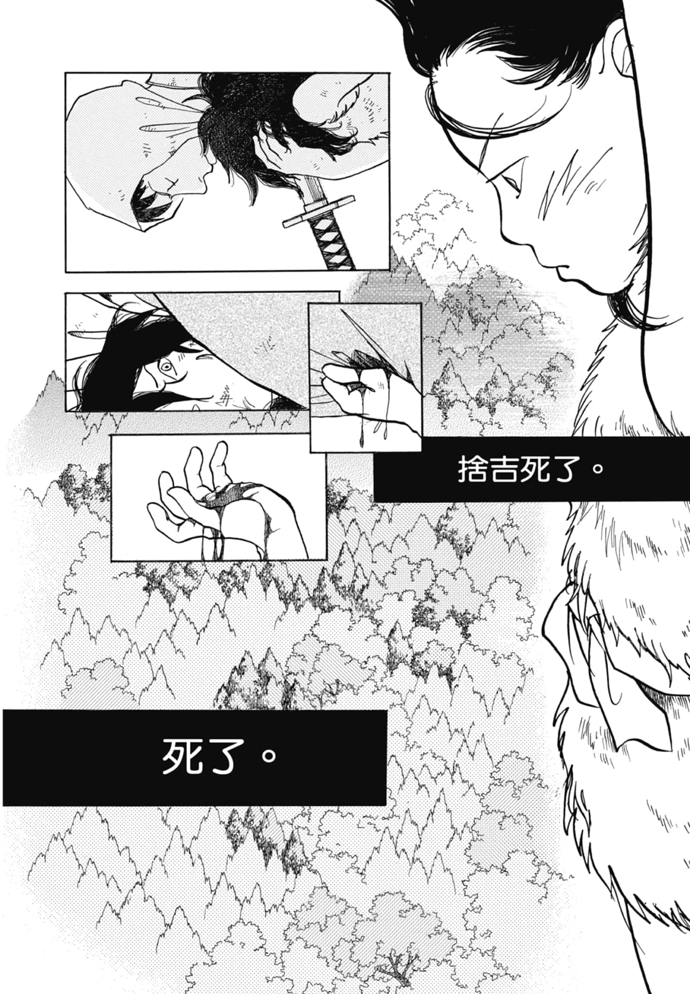 Page 258