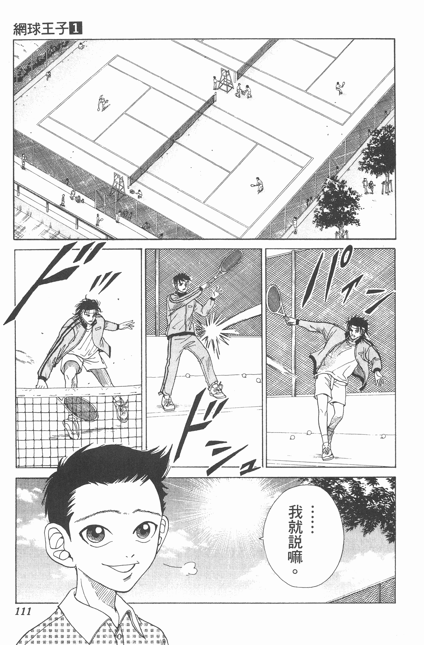 Page 111
