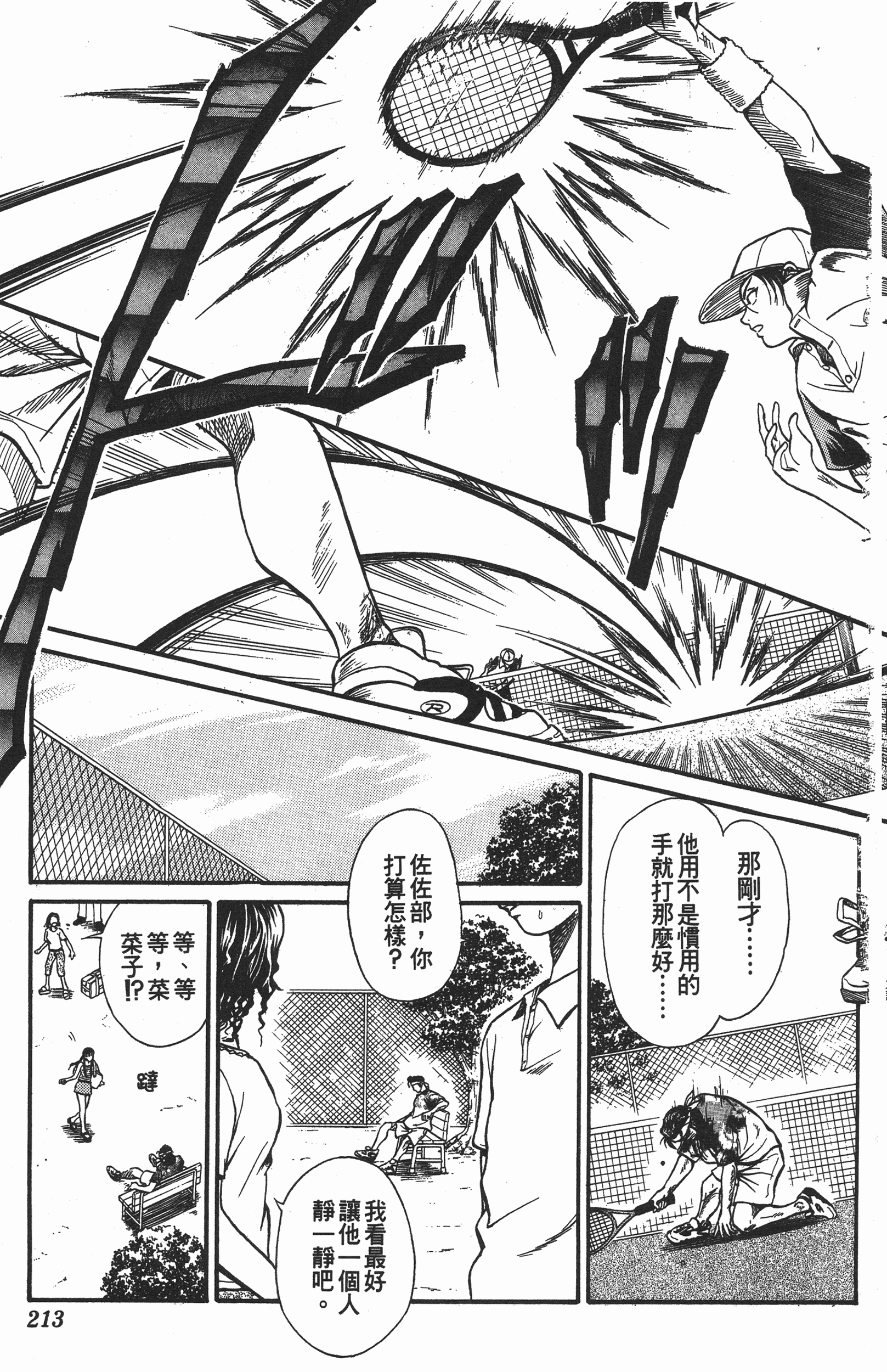 Page 213