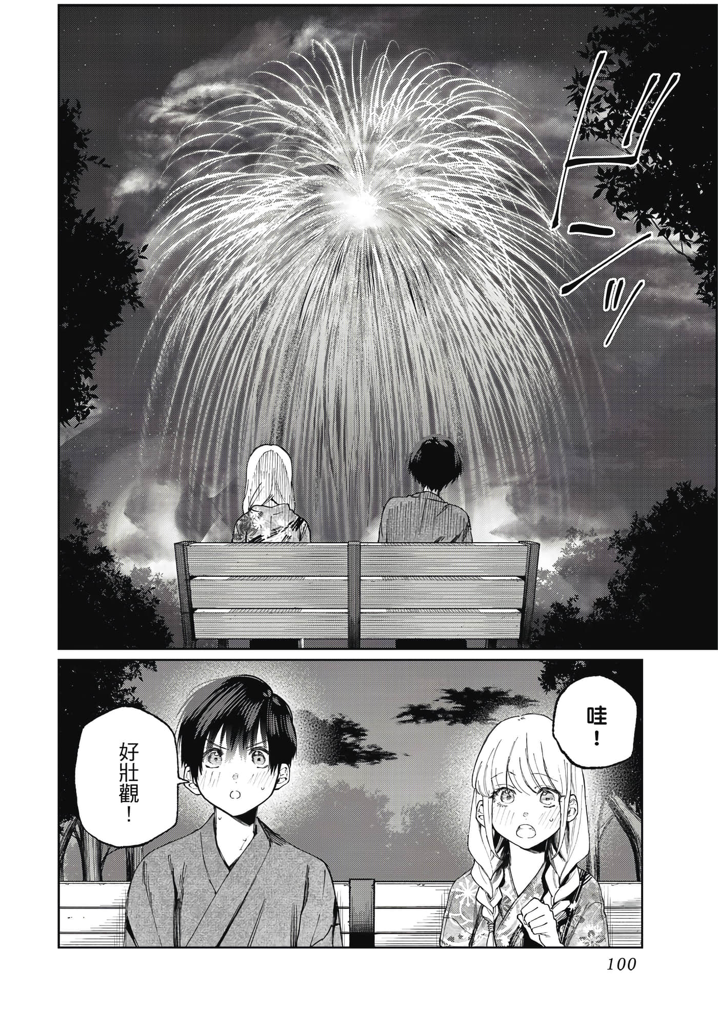 Page 101