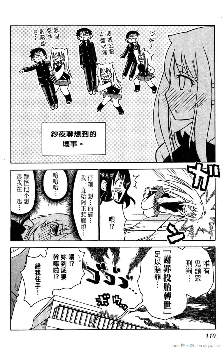 Page 111