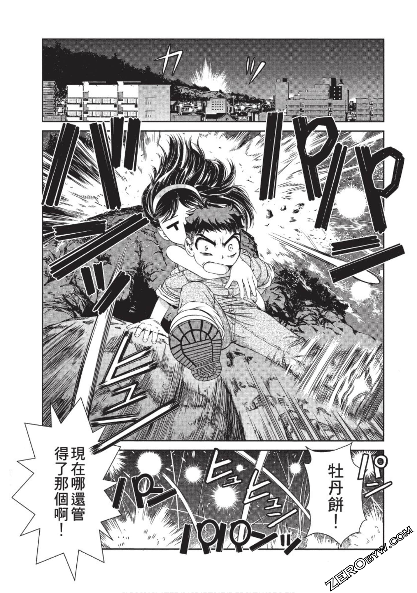 Page 102