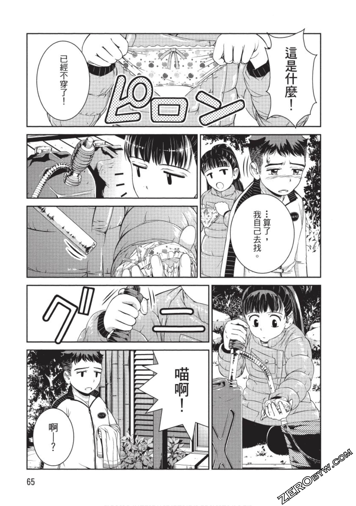 Page 66