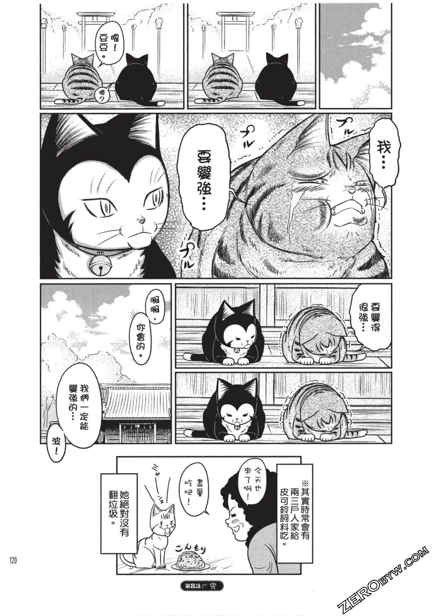 Page 121