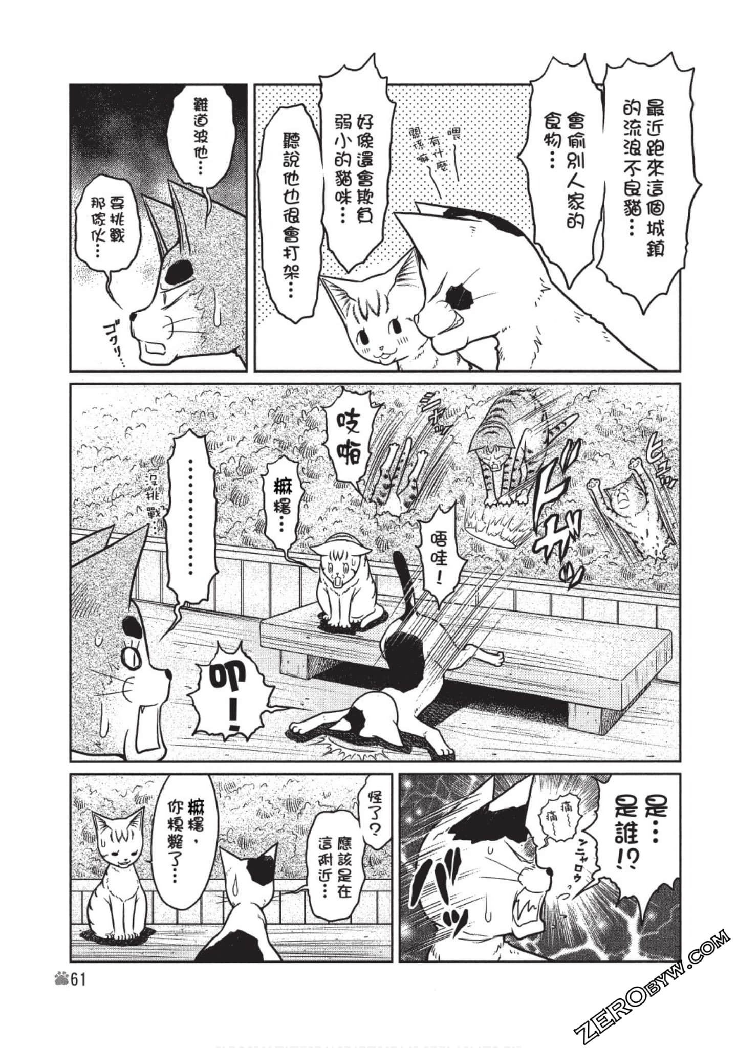 Page 62