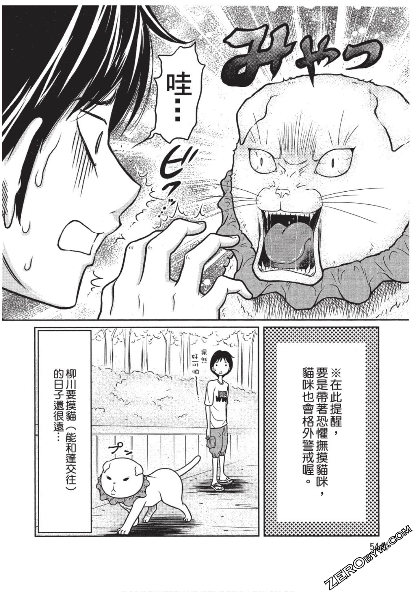 Page 55