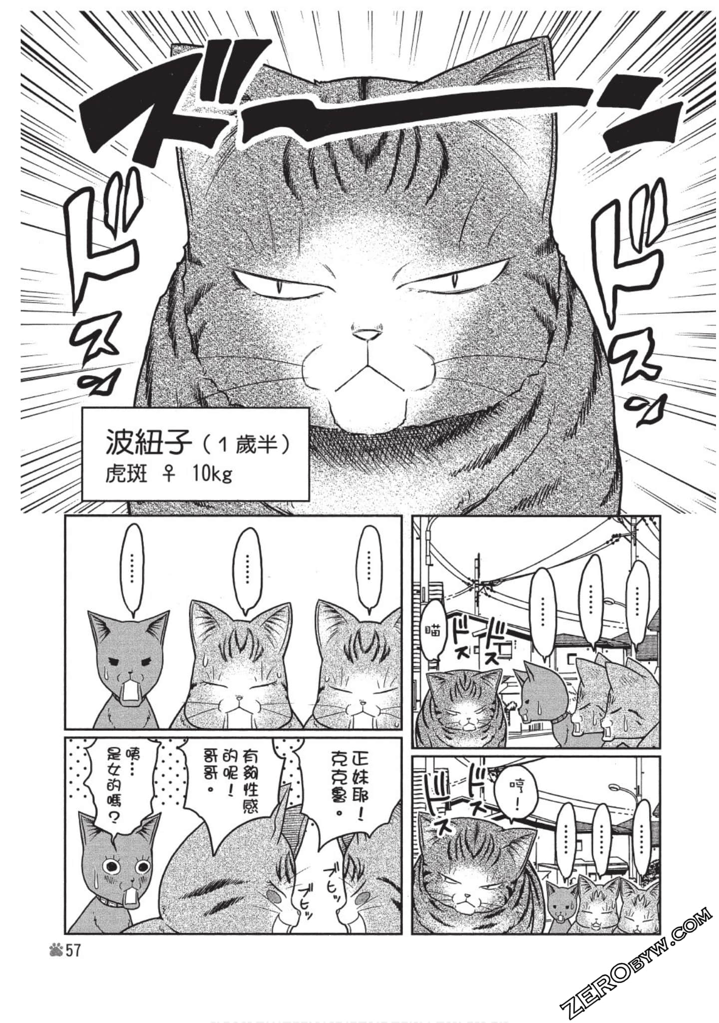 Page 58