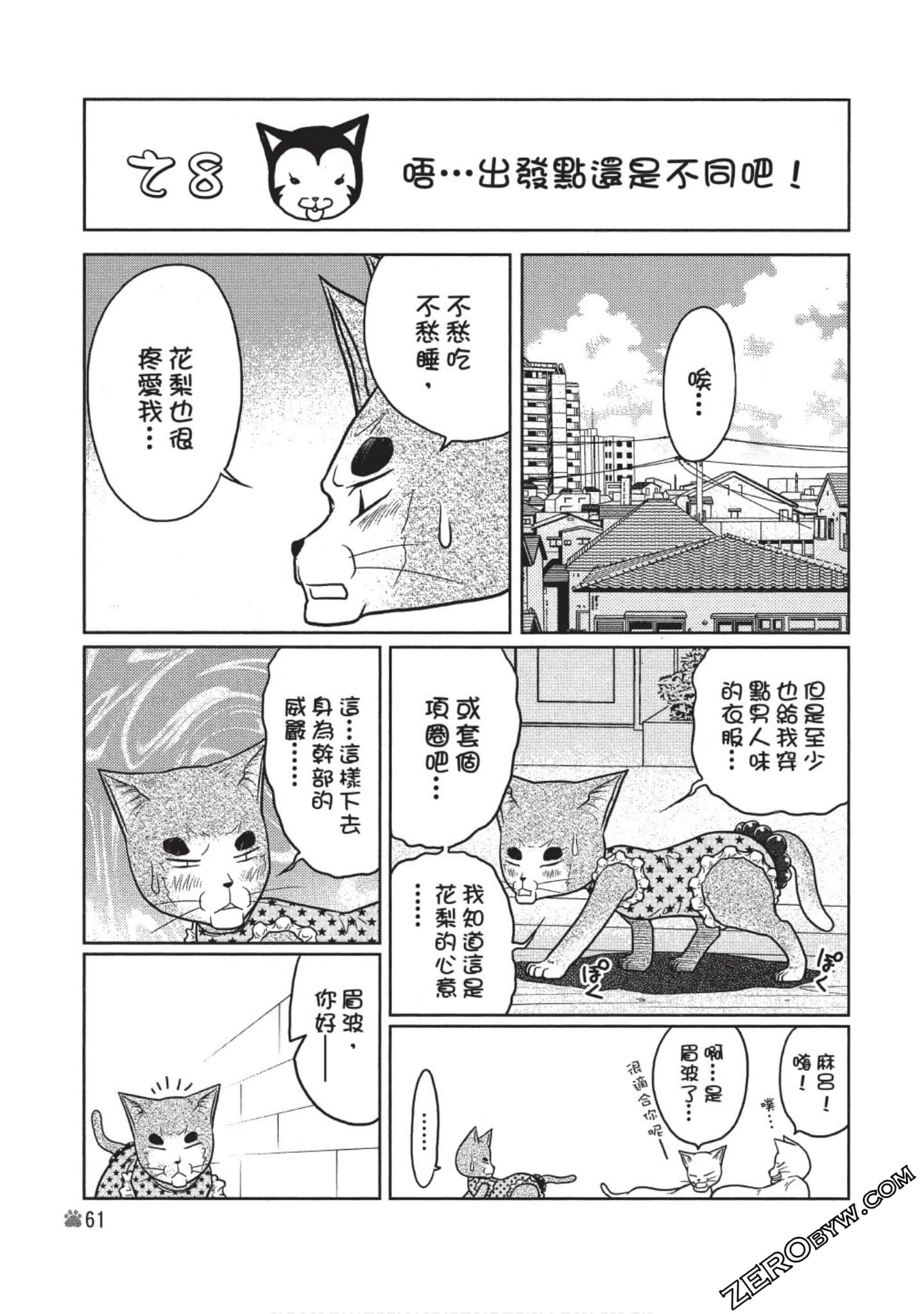 Page 62