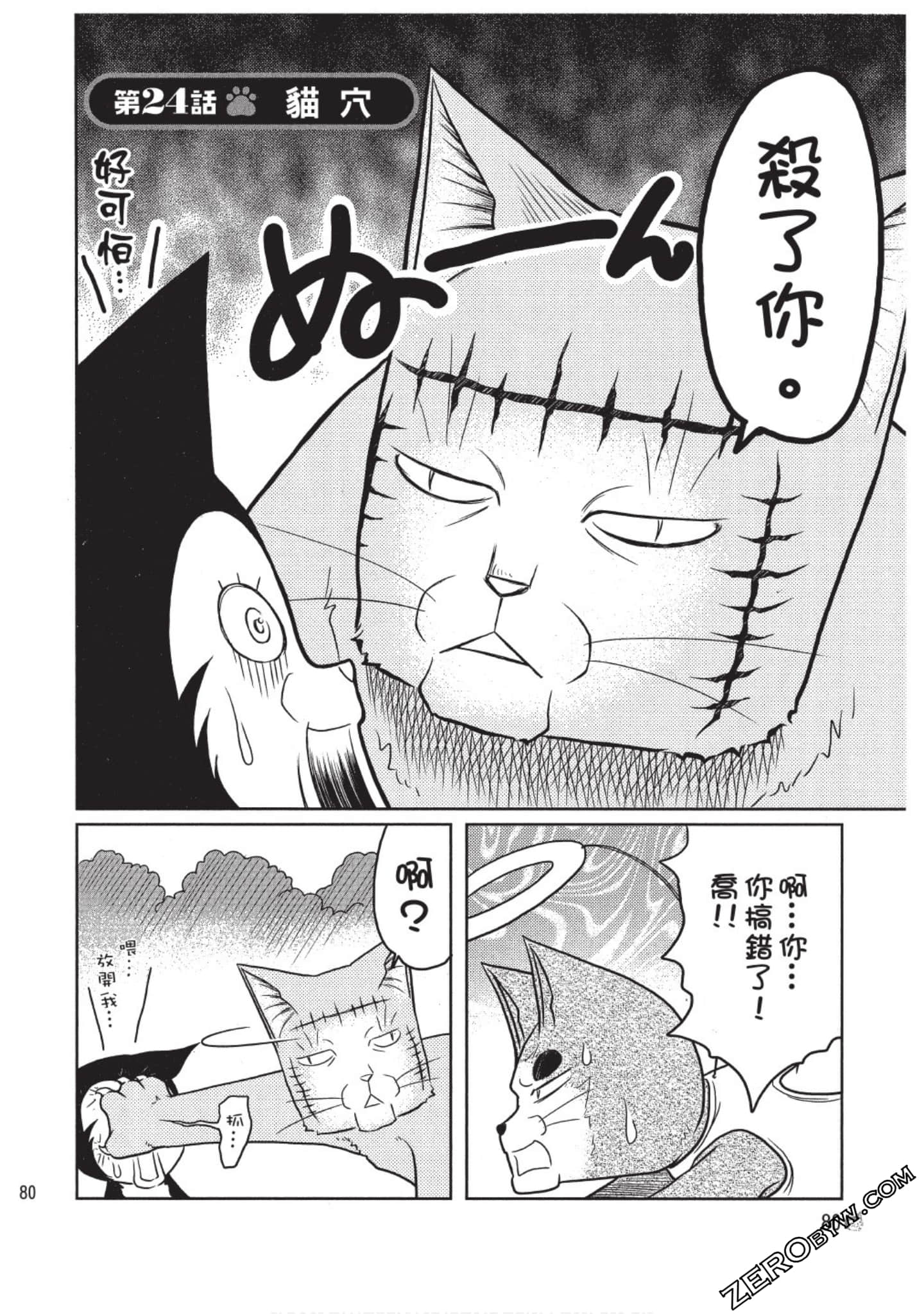 Page 81
