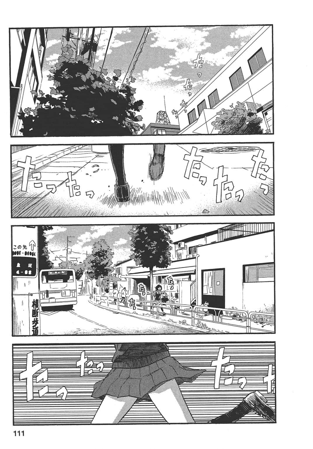 Page 111