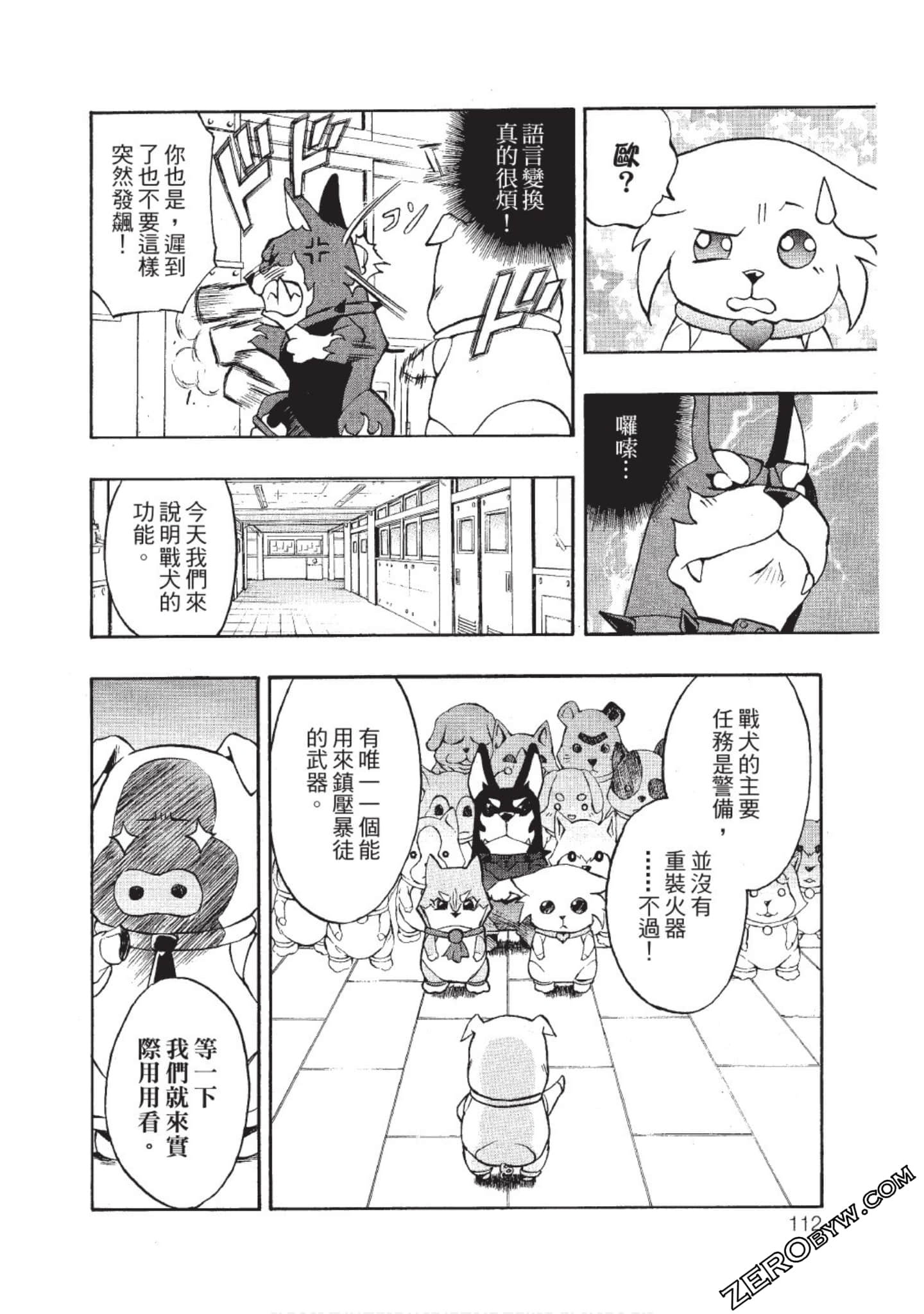 Page 111
