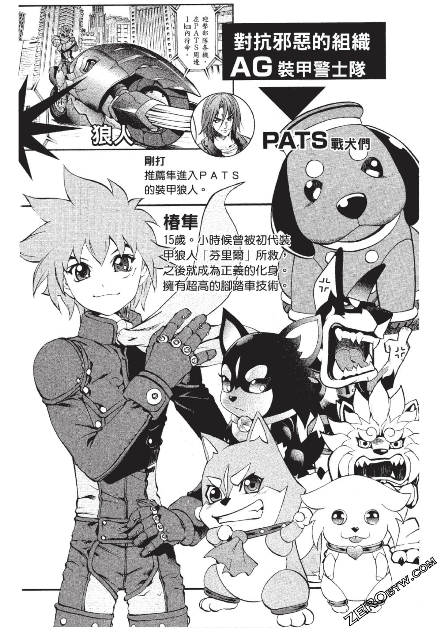 Page 3