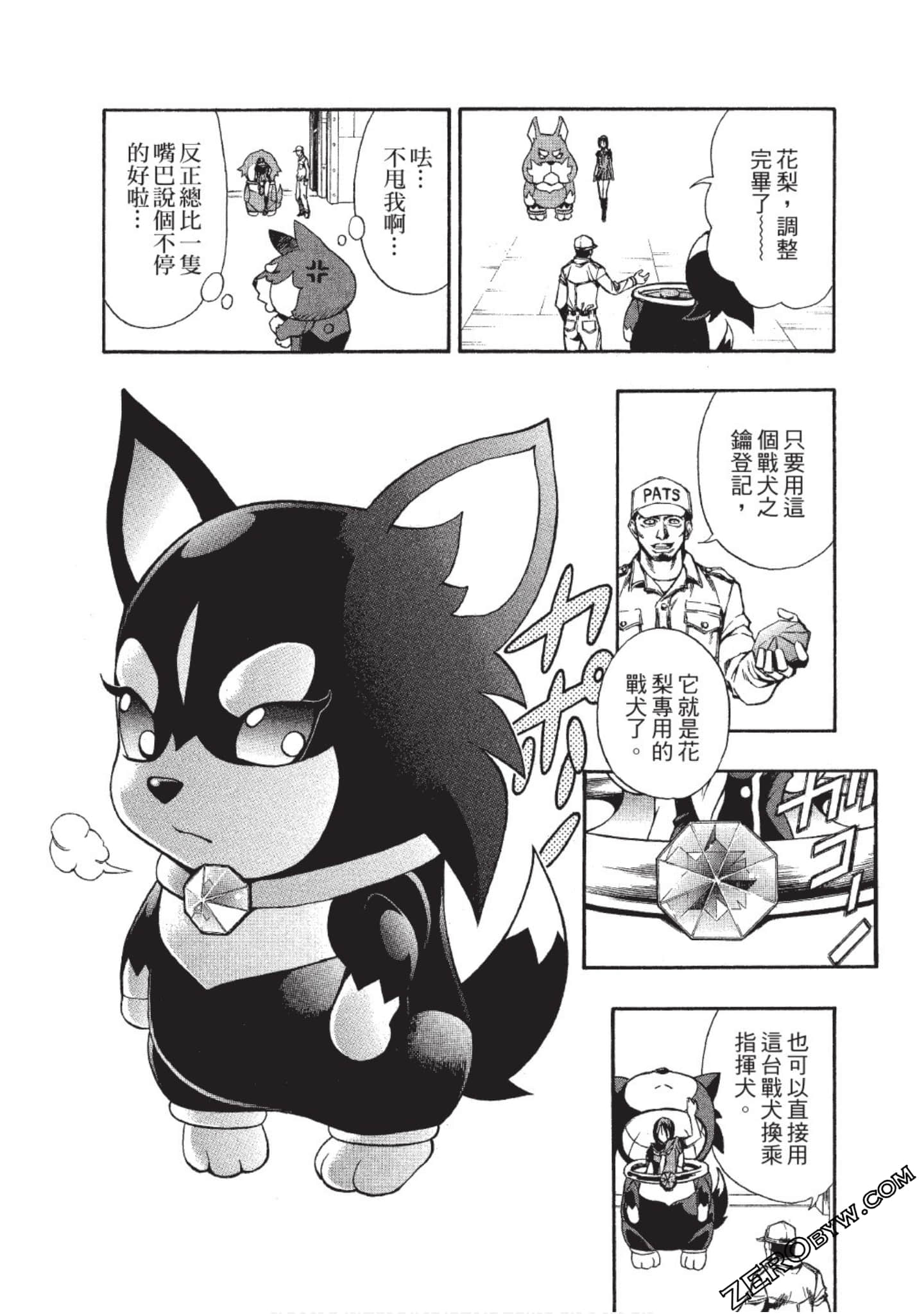 Page 106