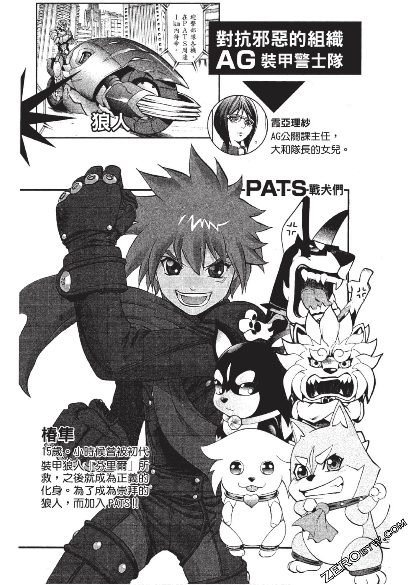 Page 3