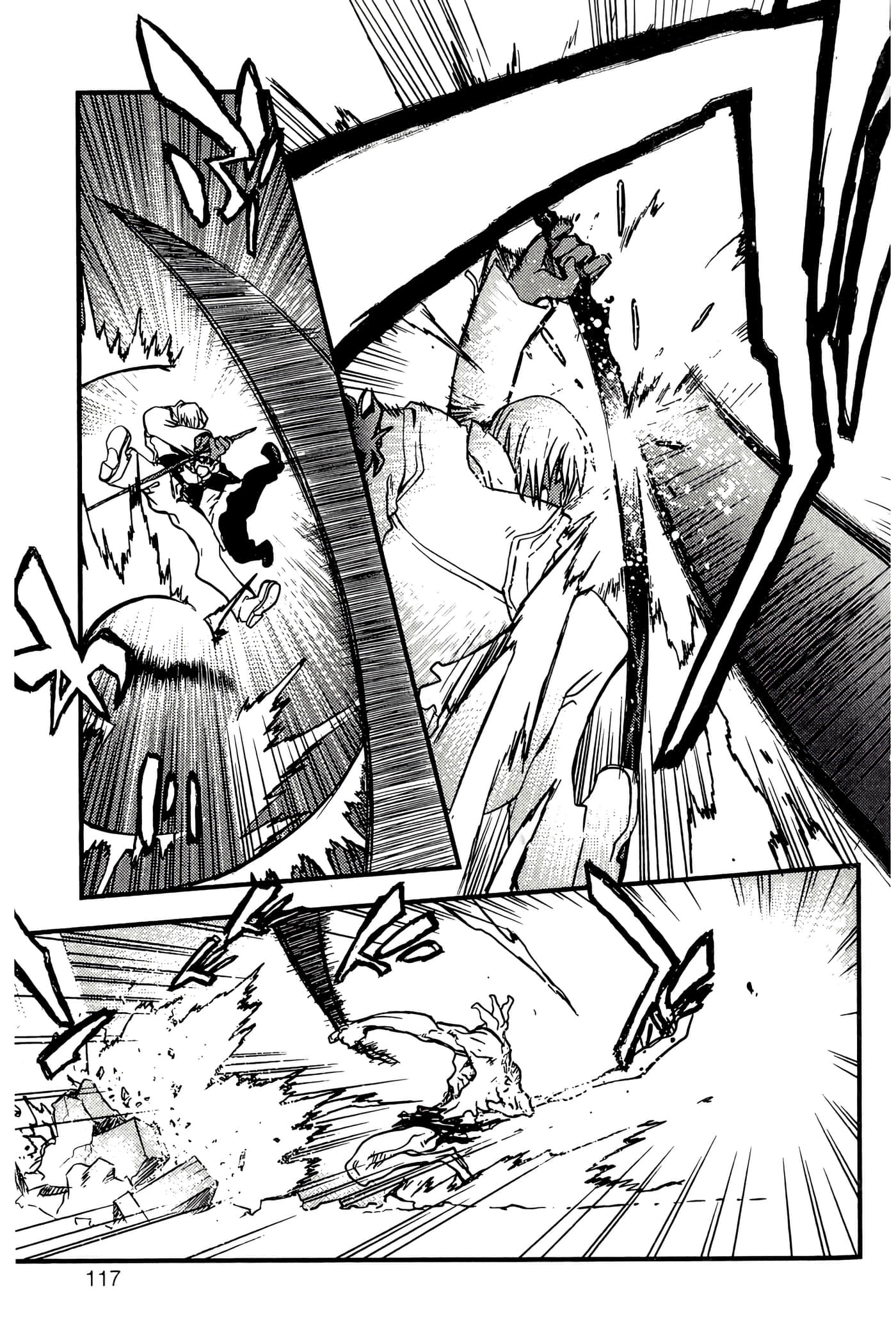 Page 117