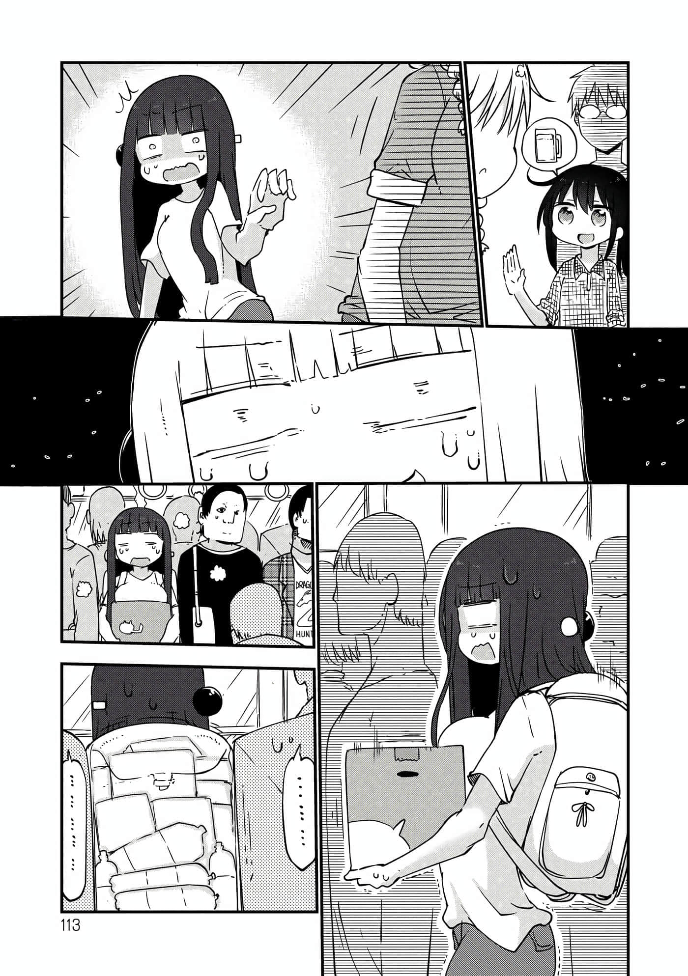 第 113 页