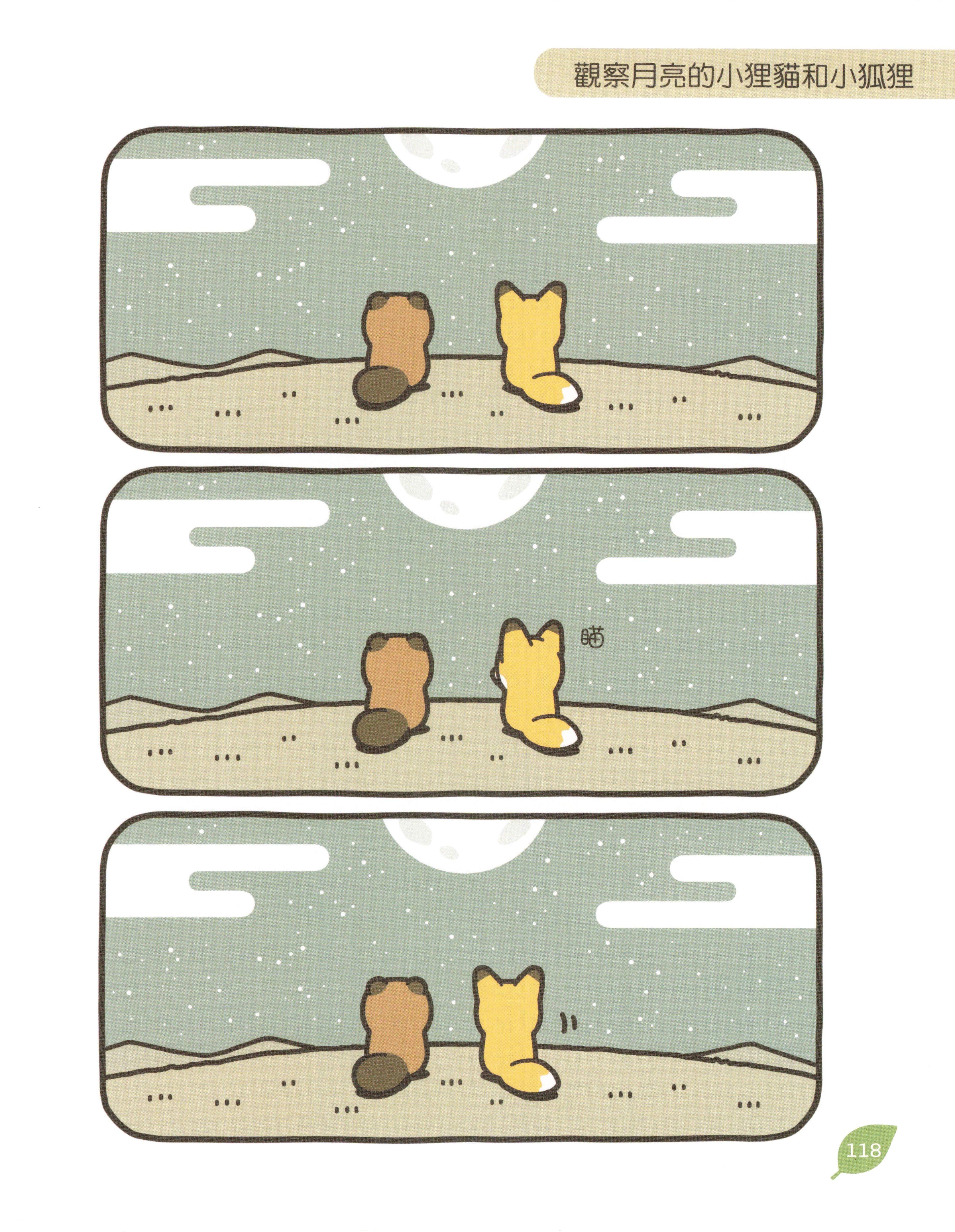 Page 119