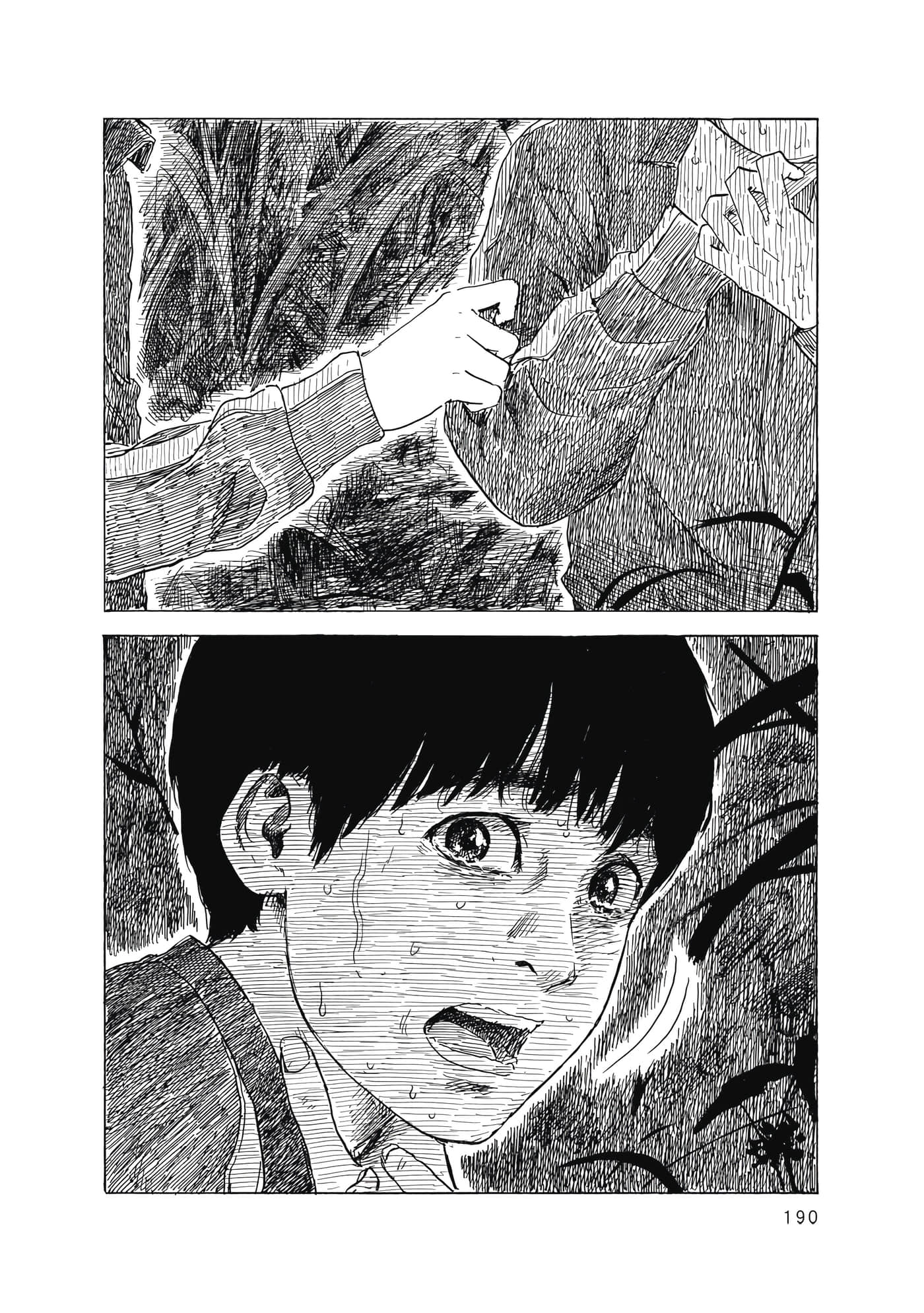 Page 191
