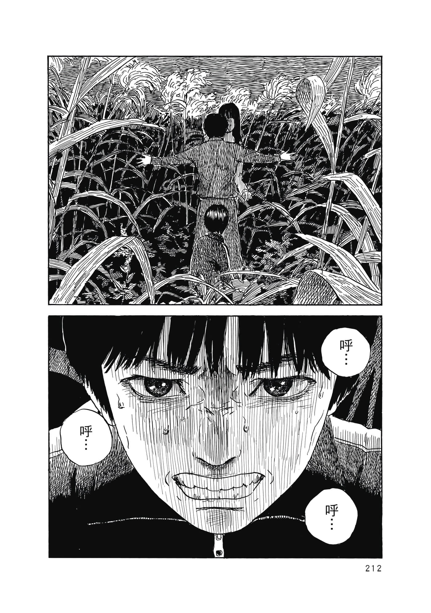 Page 213