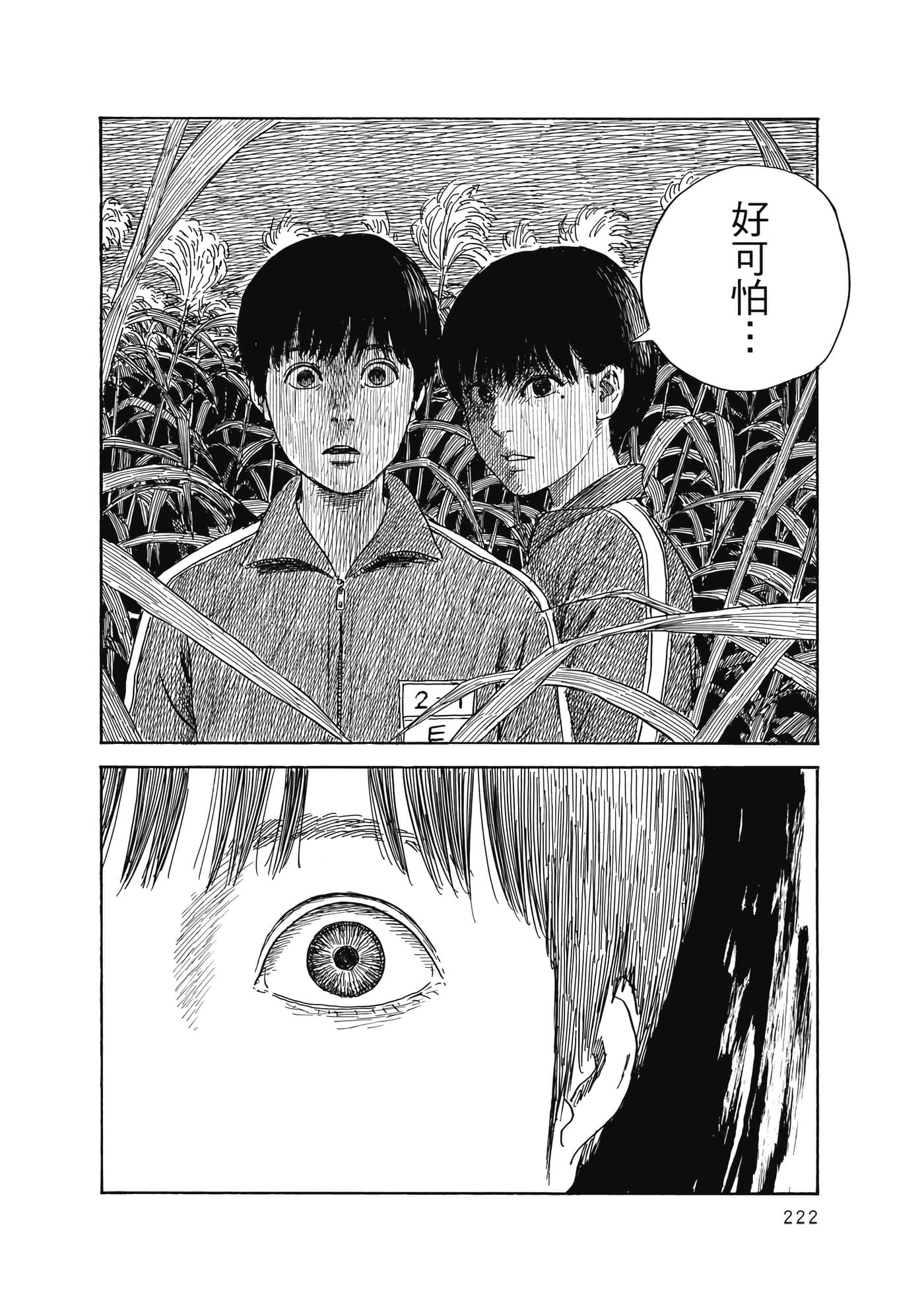 Page 223