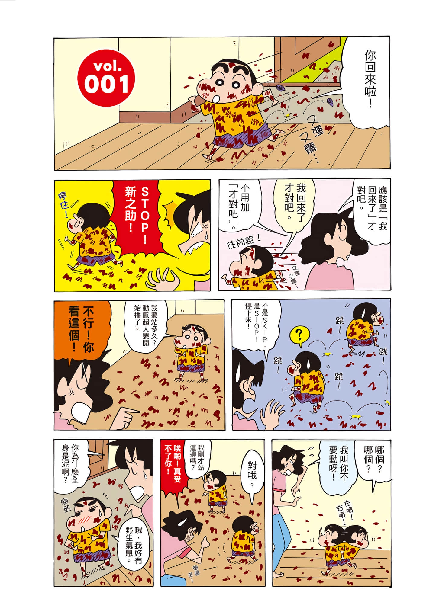 第 6 页